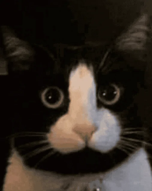 Ford Bronco Sport Strange stains on driver's floorboard under gas pedal... 1655126870364