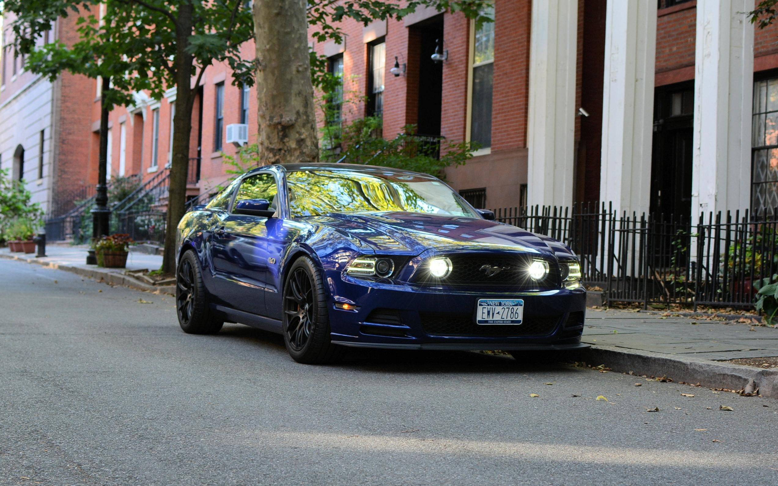 Ford Bronco Sport What's your other ride(s)? rfruou0o4op11 - Copy
