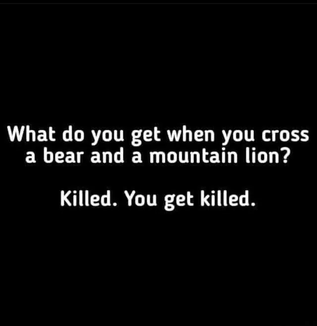 Ford Bronco Sport Long weekend: start the bad Dad Jokes — as my kids say 289339883_1497883064001553_4343590573385818720_n