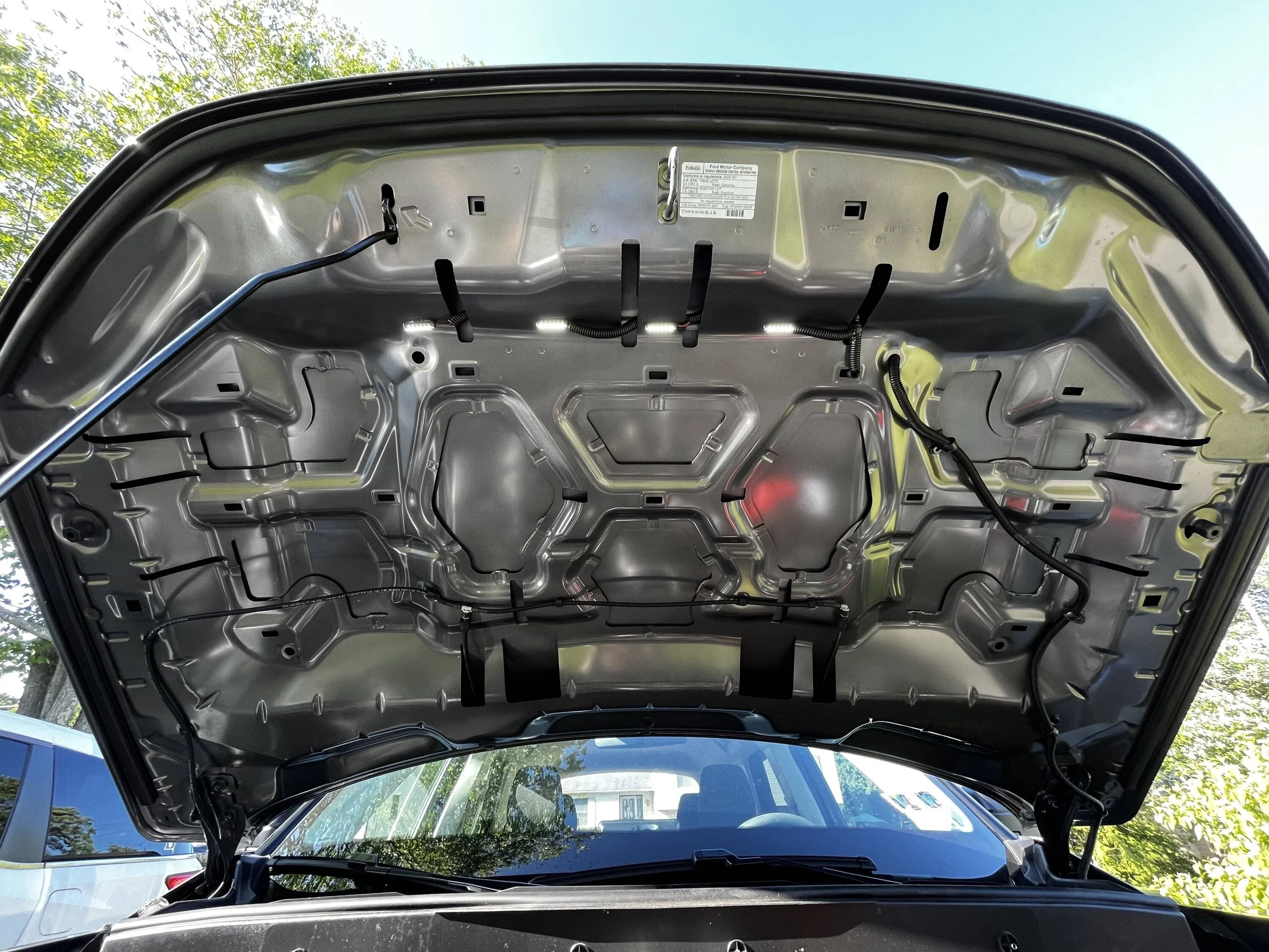 Ford Bronco Sport What did you do TO your Bronco Sport today? IMG_7986-2