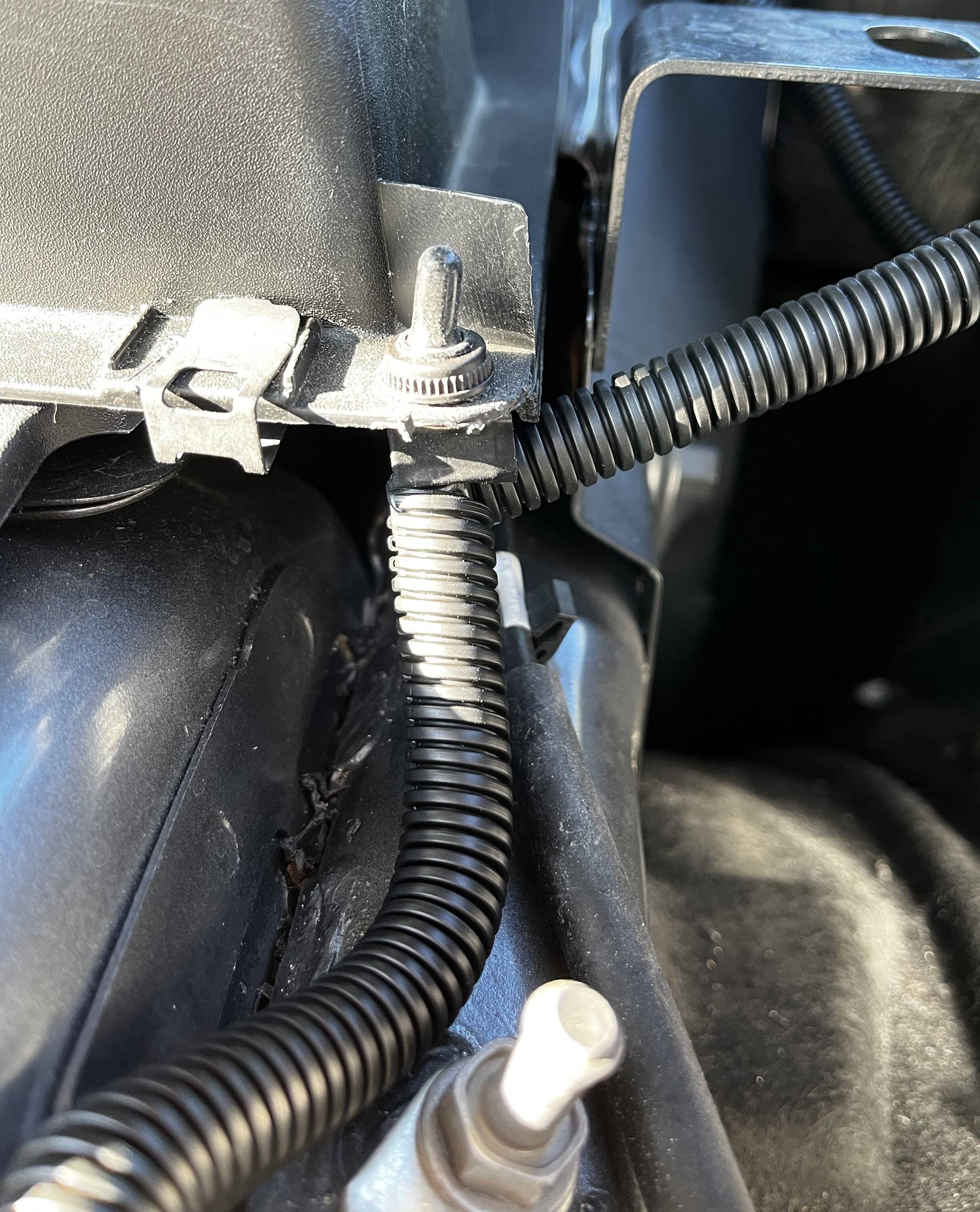 Ford Bronco Sport What did you do TO your Bronco Sport today? IMG_7988-2