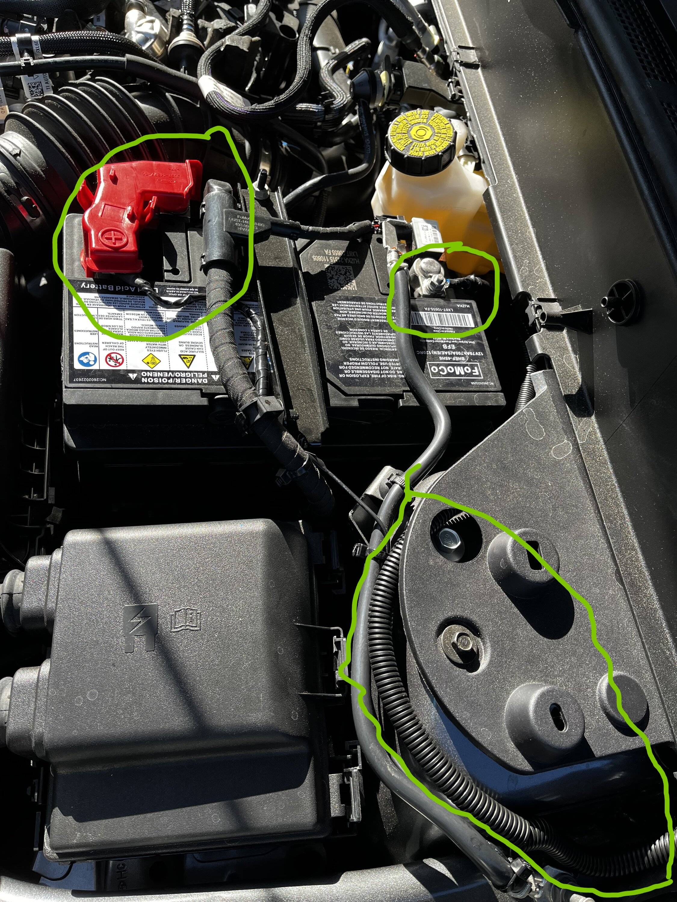 Ford Bronco Sport What did you do TO your Bronco Sport today? IMG_7989-2