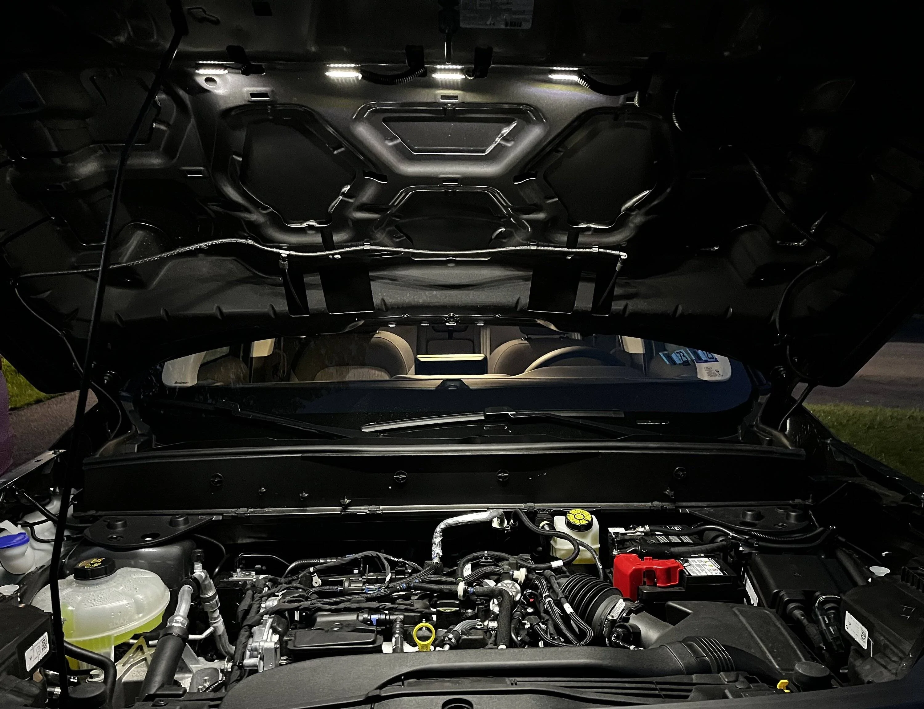 Ford Bronco Sport What did you do TO your Bronco Sport today? IMG_7991-2