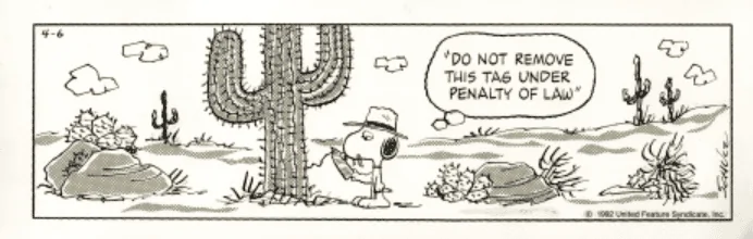 Ford Bronco Sport Remove Warning Labels on Visor? 1656108668259