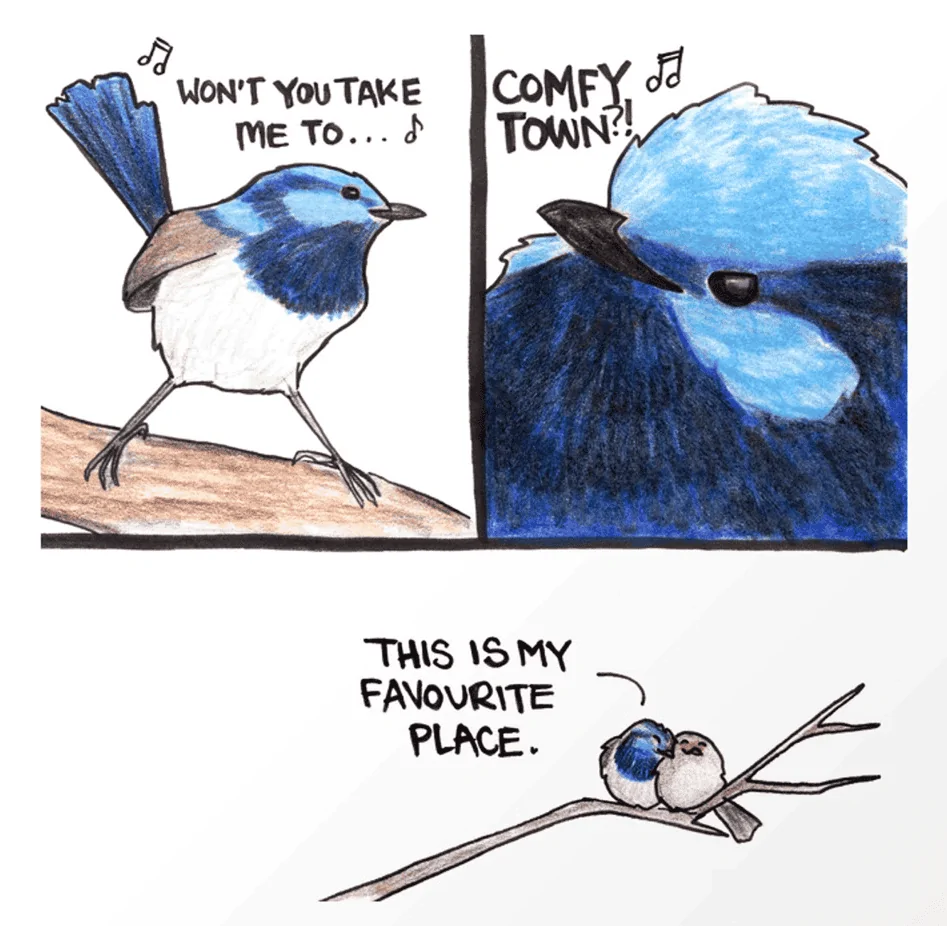 Ford Bronco Sport Full House 1656357571604