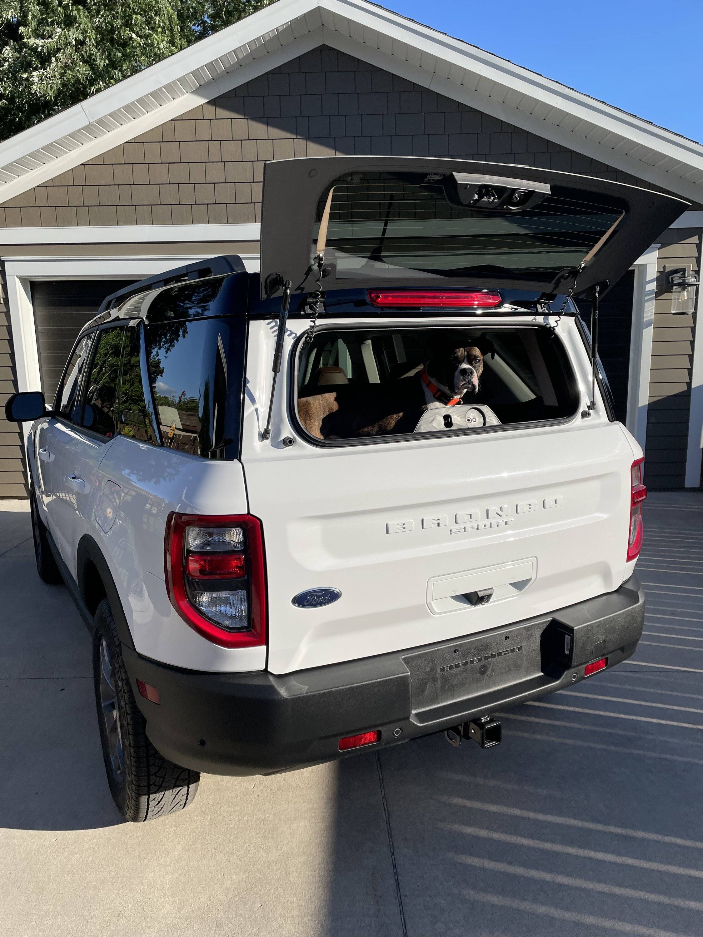 Ford Bronco Sport Show me your dogs!! 12C5E908-4DD2-4D91-BD7B-FFAC0CB09327