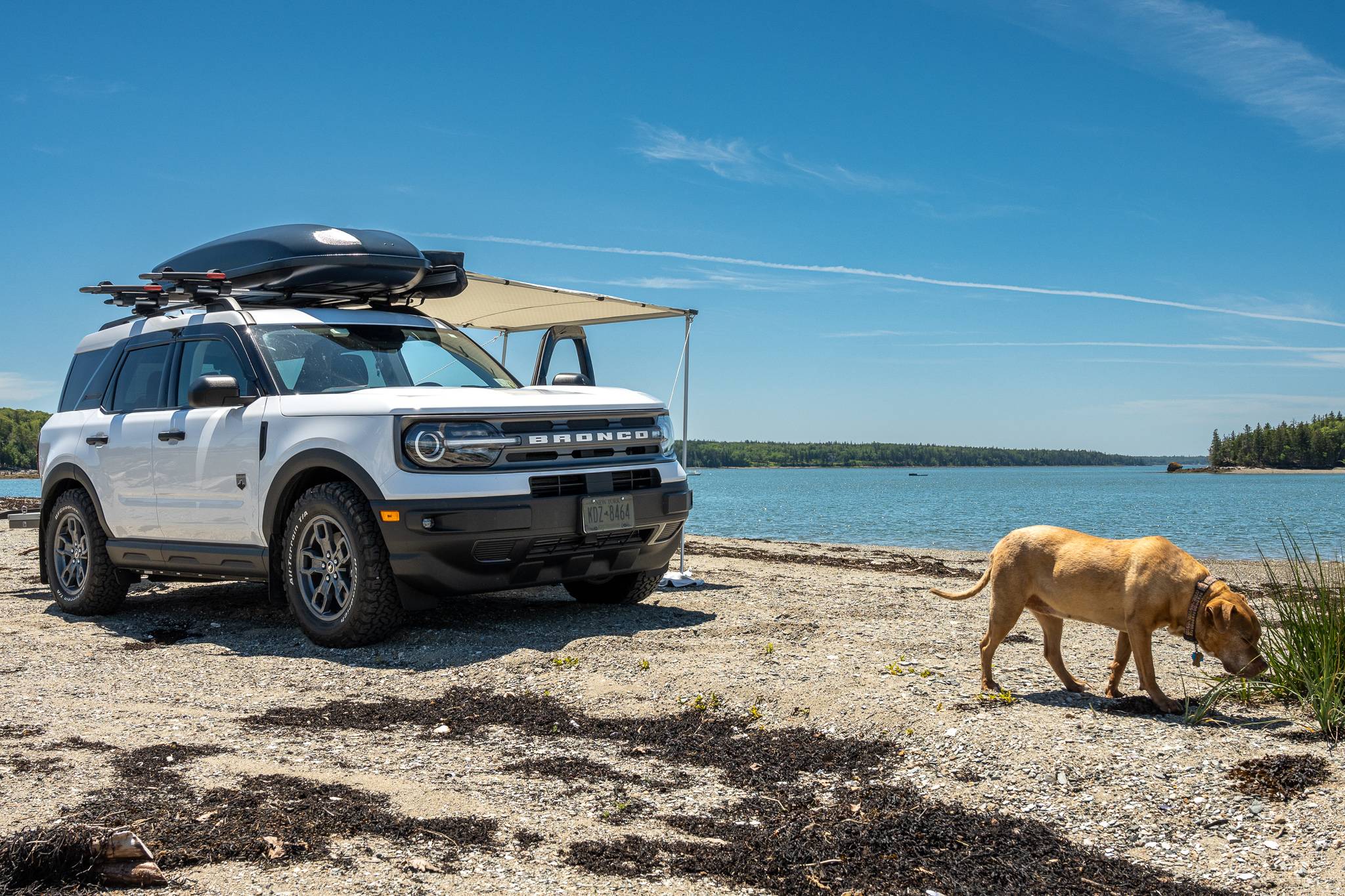 Ford Bronco Sport Big Bend stock height with BFGoodrich 245/65/17. The beginnings of making this into what I want. 6E7E2B69-55F1-4FD5-BA91-9D54E6EE9B6F