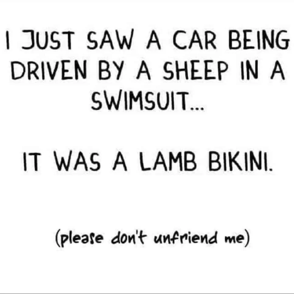 Ford Bronco Sport Long weekend: start the bad Dad Jokes — as my kids say 289374011_413094310744949_3236148369404277463_n