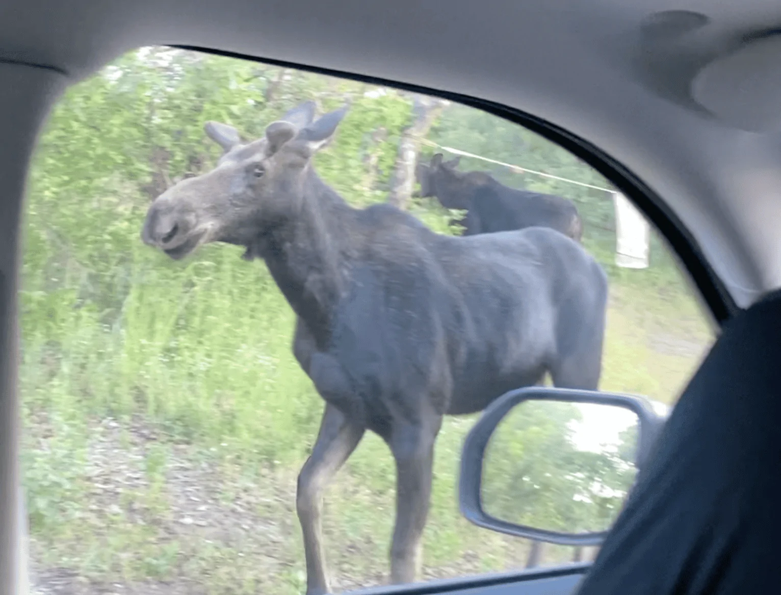 Ford Bronco Sport First trip car camping in Bronco Sport Screen Shot 2022-07-06 at 3.26.53 PM