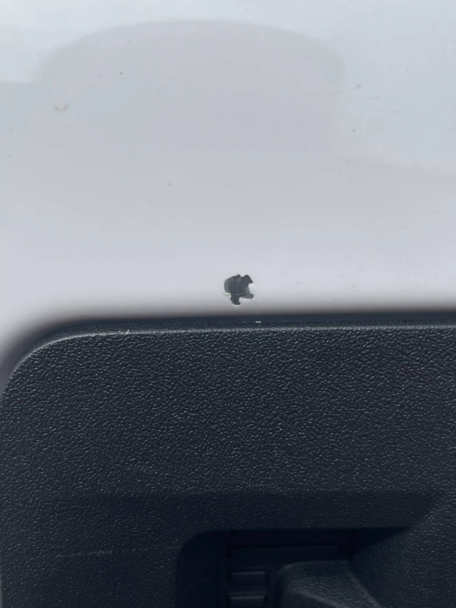 Ford Bronco Sport Paint chipping 070EDC36-6ED0-4346-BE51-96345589DCCB