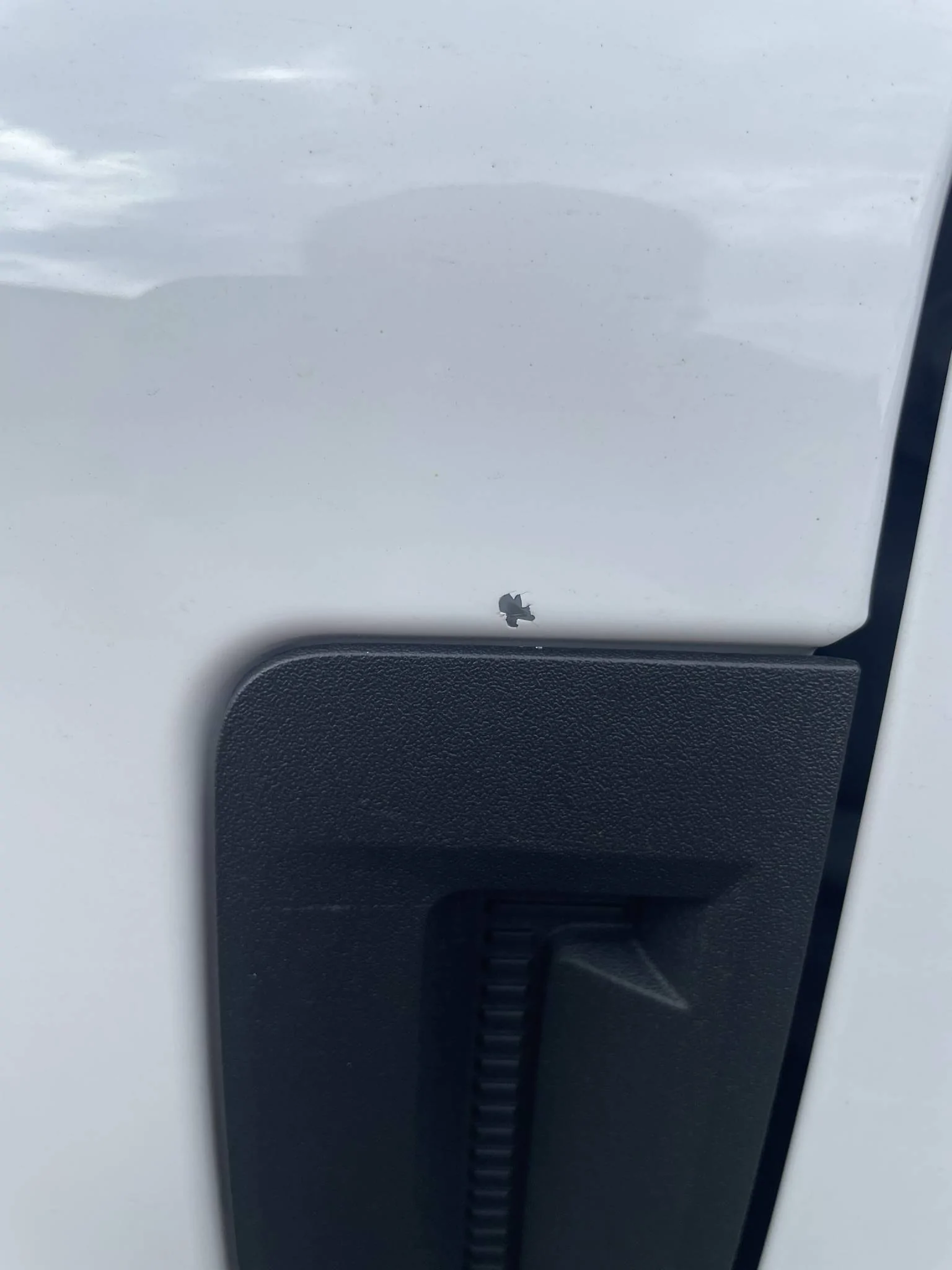 Ford Bronco Sport Paint chipping 5E82E47B-9236-4704-868E-565D84A5BDD3