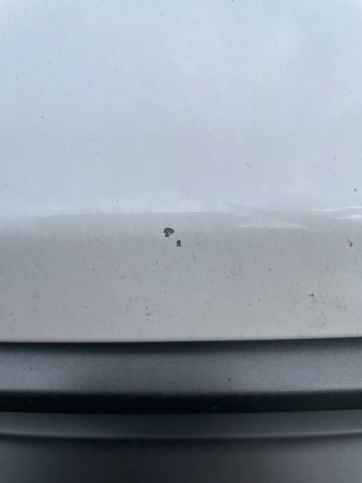 Ford Bronco Sport Paint chipping BEB61CEC-51A8-465A-8396-FA783C0C4762