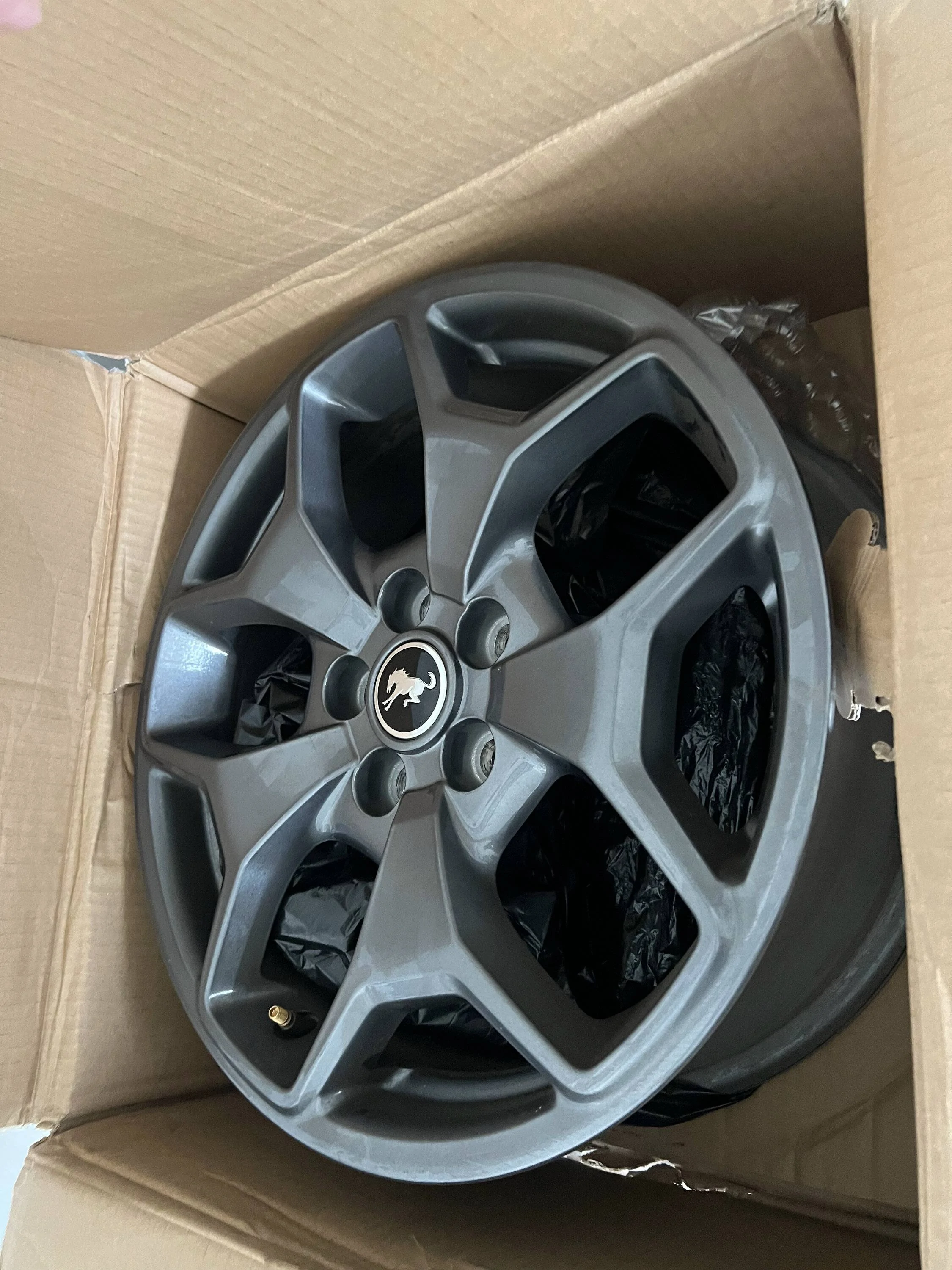 Ford Bronco Sport Badlands Wheels IMG_0284