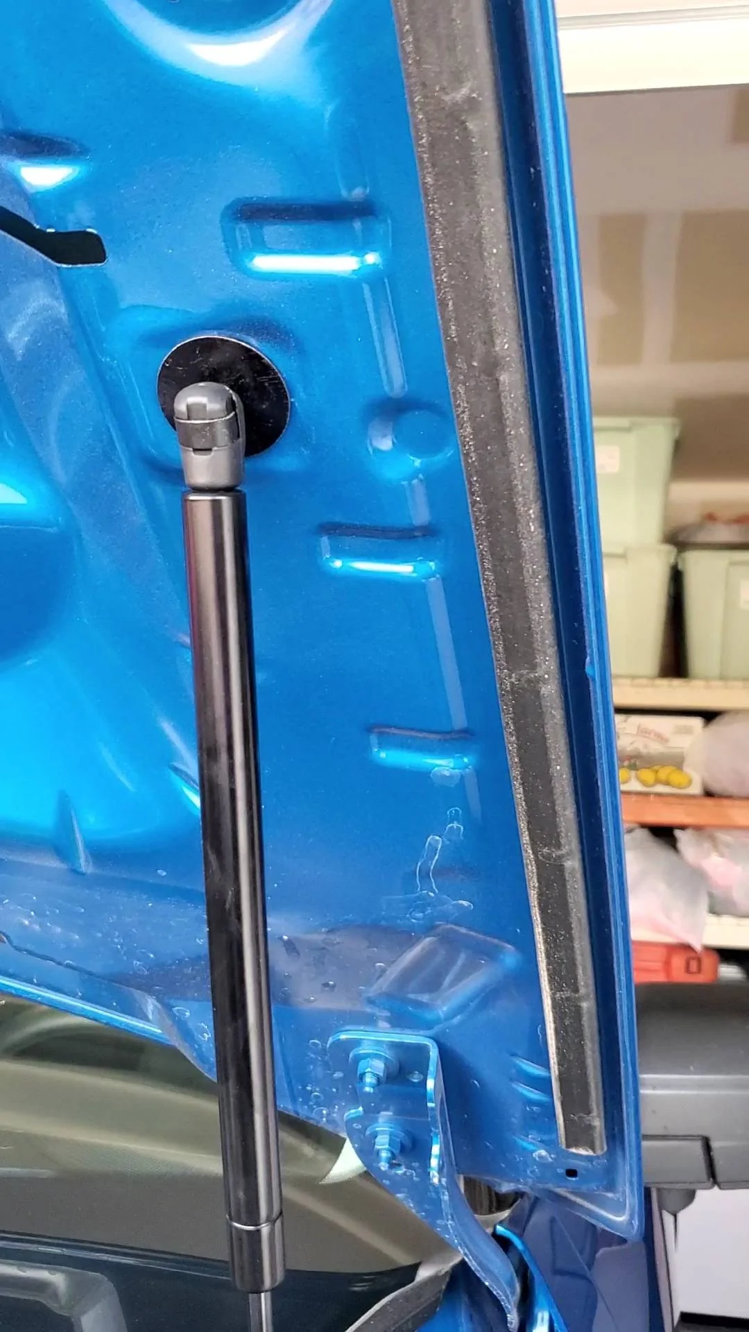 Ford Bronco Sport RERPRO Hood Struts VideoCapture_20220715-182246