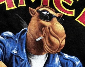 Ford Bronco Sport Will the BroncoSport ever have subscription services? 1657937775902