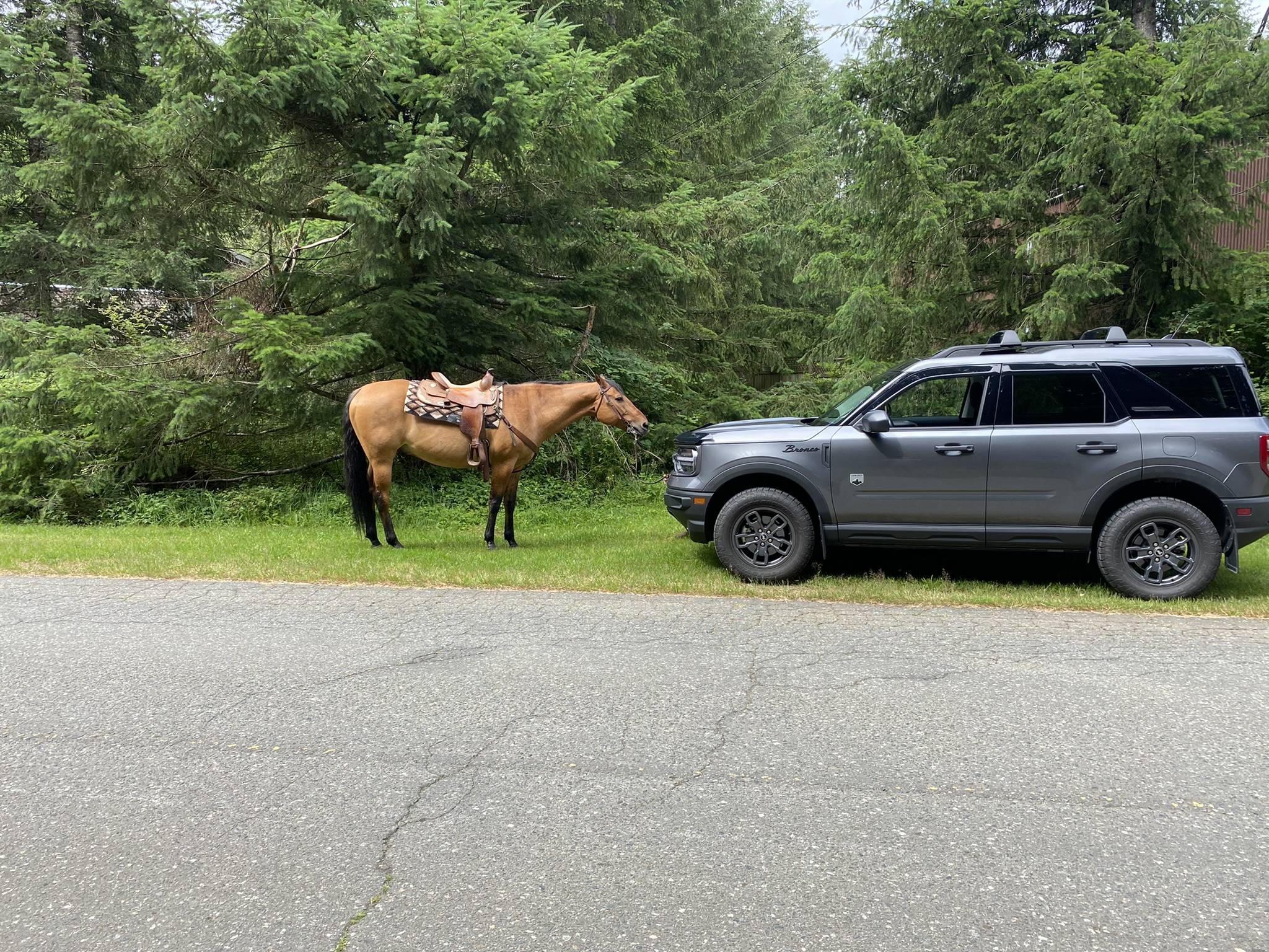 Ford Bronco Sport Post the best photos you've got of your Bronco Sport 7BF8EAE3-5C16-4290-8329-E4F94A7D5F48