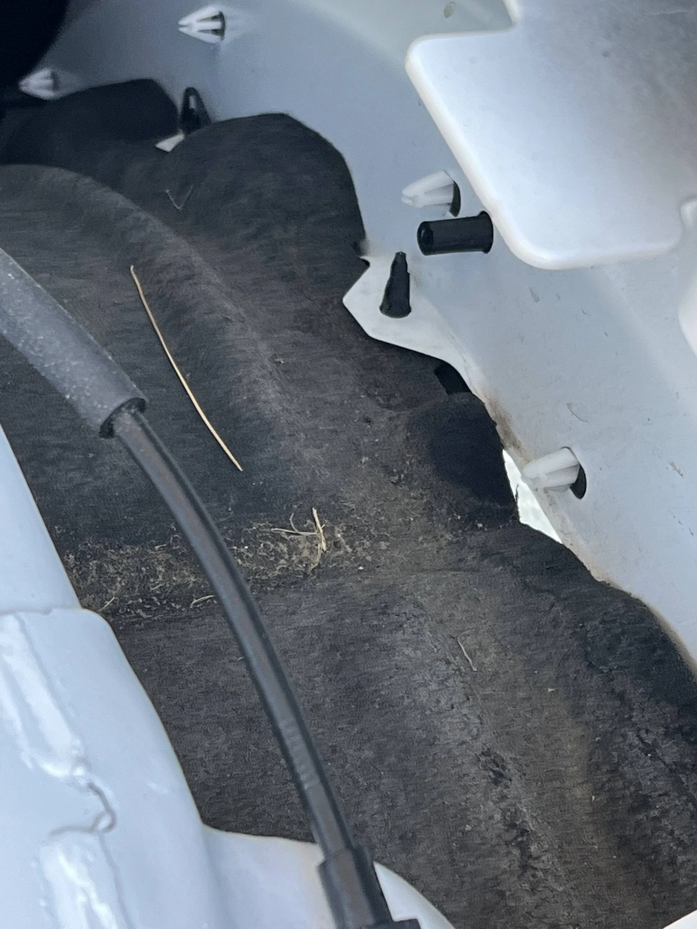 Ford Bronco Sport 2021 Ford Bronco Sport Issue(s) IMG_0221