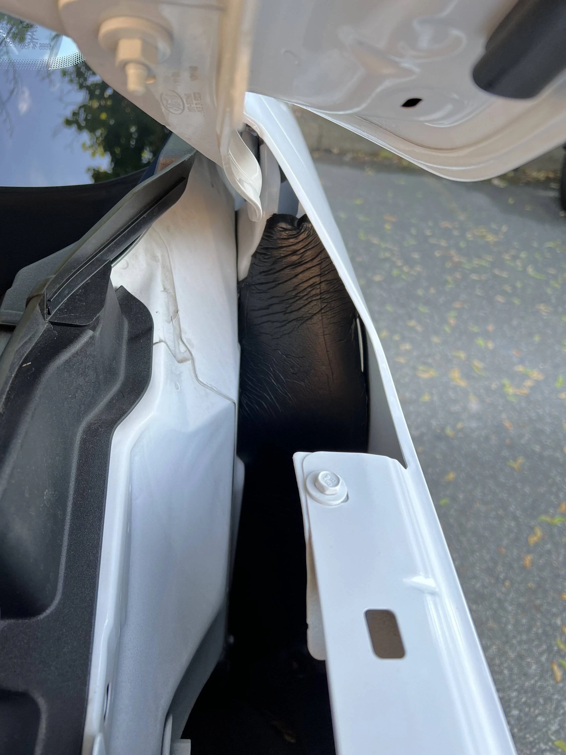 Ford Bronco Sport 2021 Ford Bronco Sport Issue(s) IMG_0222