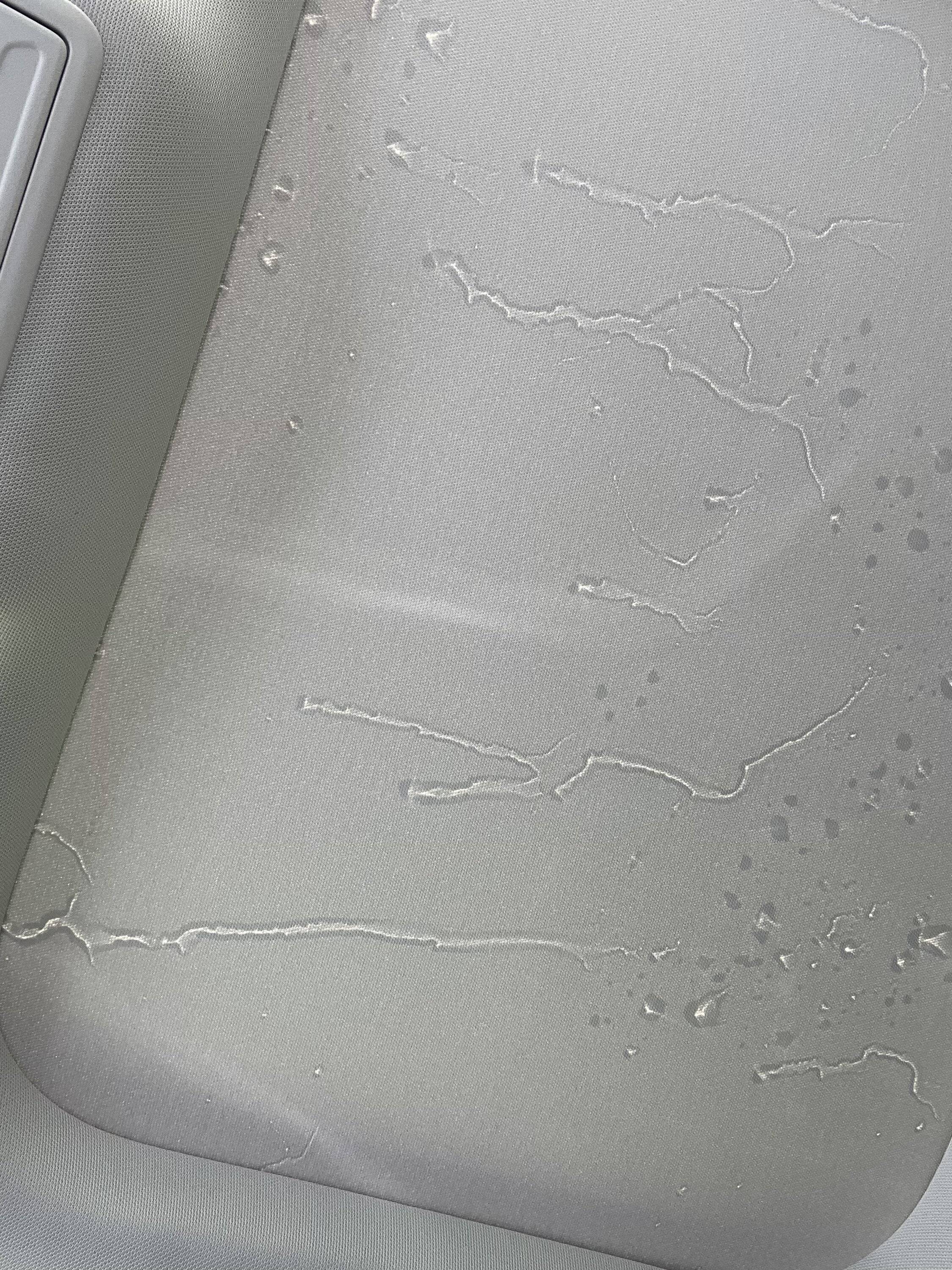 Ford Bronco Sport Sunroof Leak C8995232-7E63-4D3D-A8C8-459A451E324E