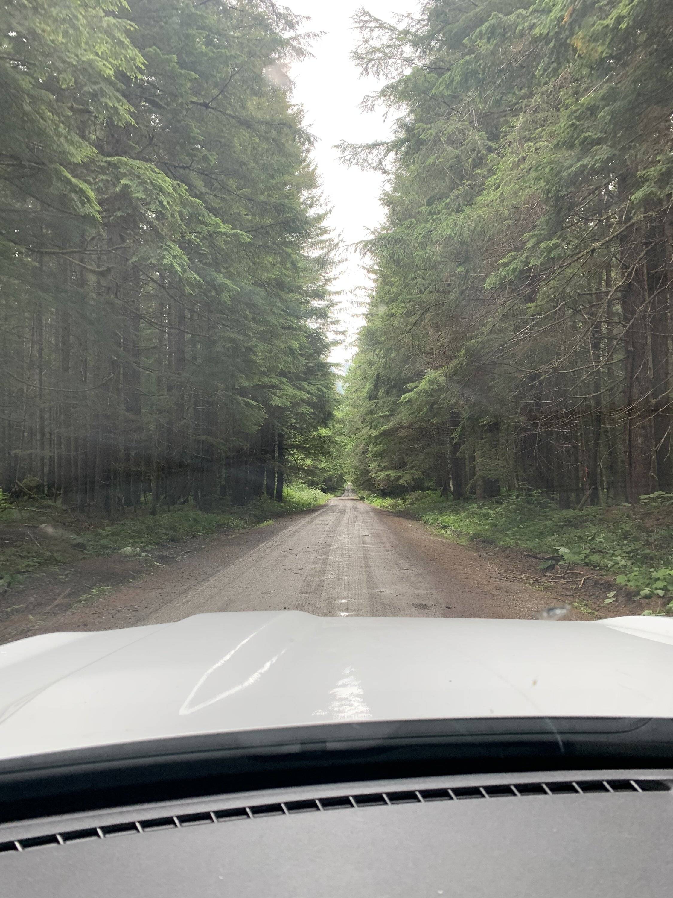 Ford Bronco Sport We Are Off Like A Herd Of Turtles A97DF35E-4F77-418A-885C-C8EC10BA5DBC