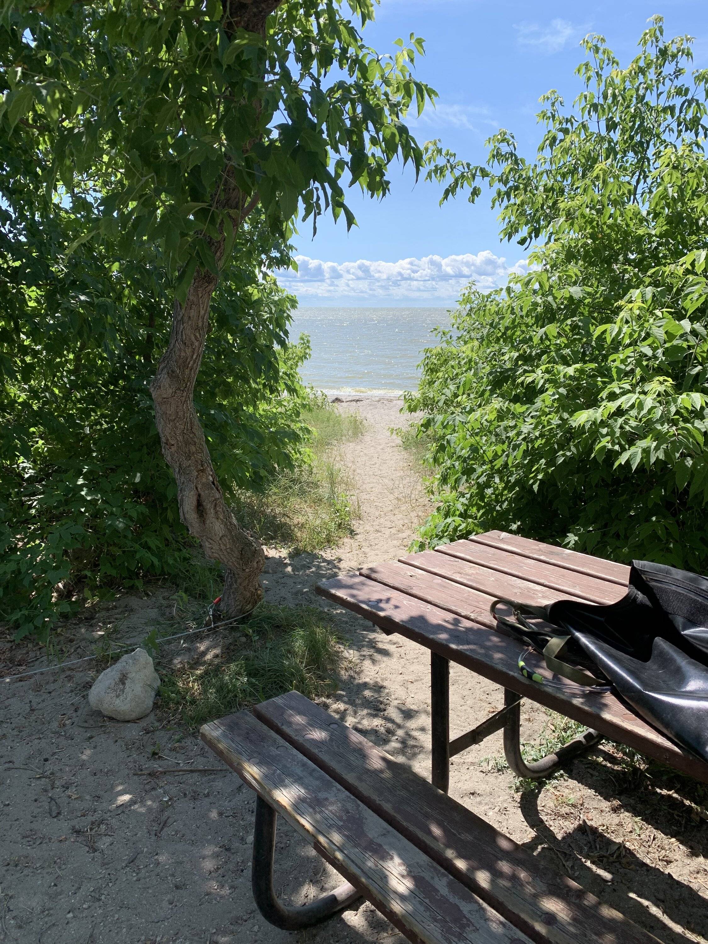 Ford Bronco Sport We Are Off Like A Herd Of Turtles 7CEA1CC8-71C6-4F7F-BD8F-035781841CDE