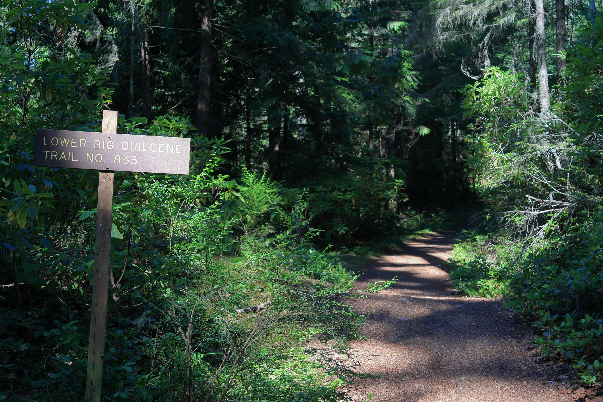 Ford Bronco Sport What did you do TO your Bronco Sport today? 4K3A0119(1).JPG