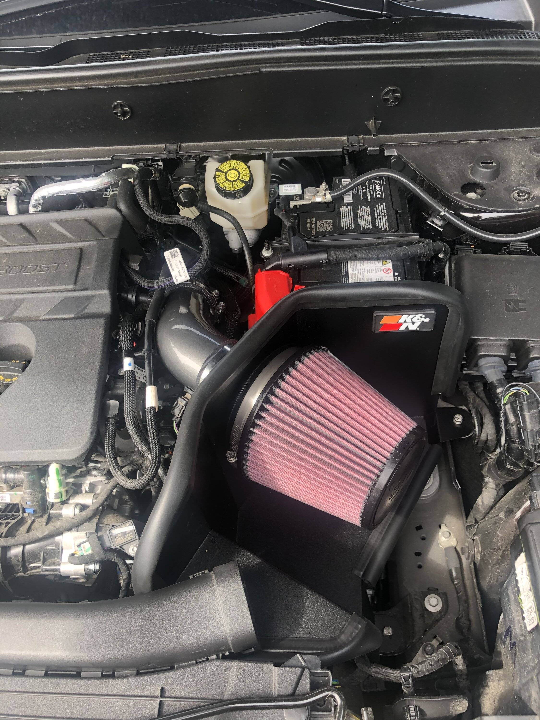 Ford Bronco Sport Bought it might as well install it B763502D-7CBD-4062-8A0F-BE6E9A5130CB