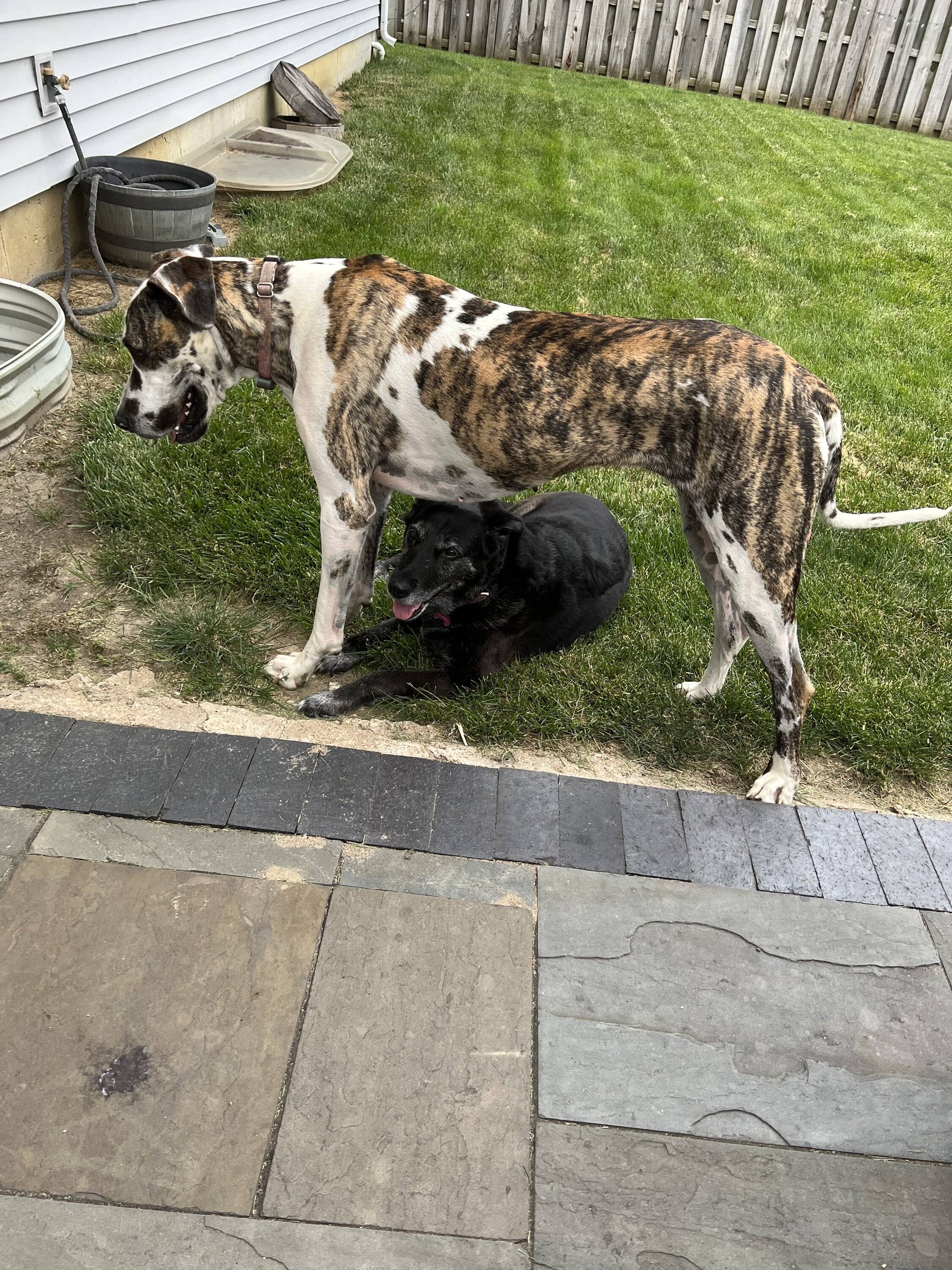 Ford Bronco Sport What did you do TO your Bronco Sport today? 5EC69478-E333-4F1B-BB1C-ABD083E66593