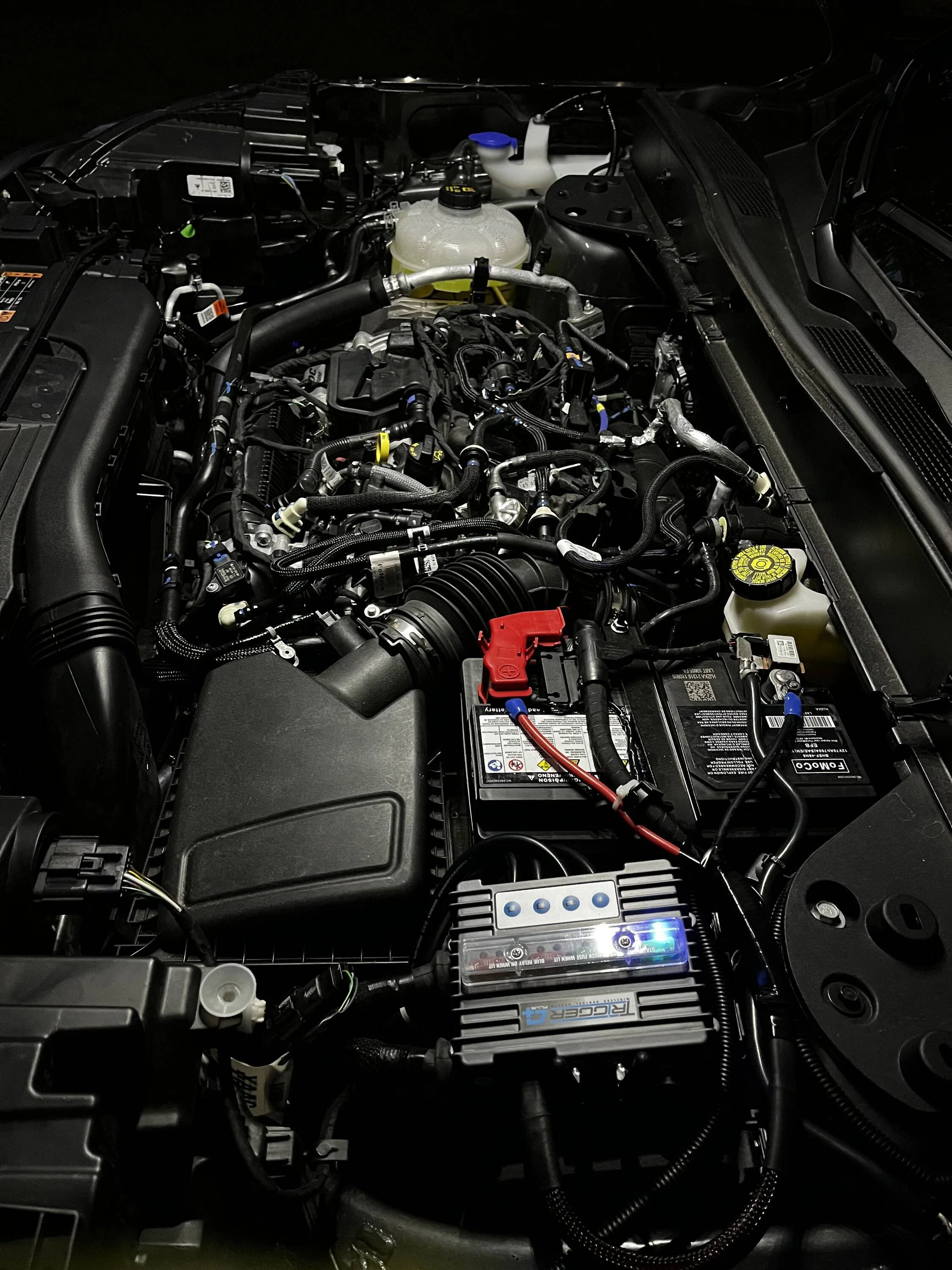 Ford Bronco Sport What did you do TO your Bronco Sport today? IMG_8237