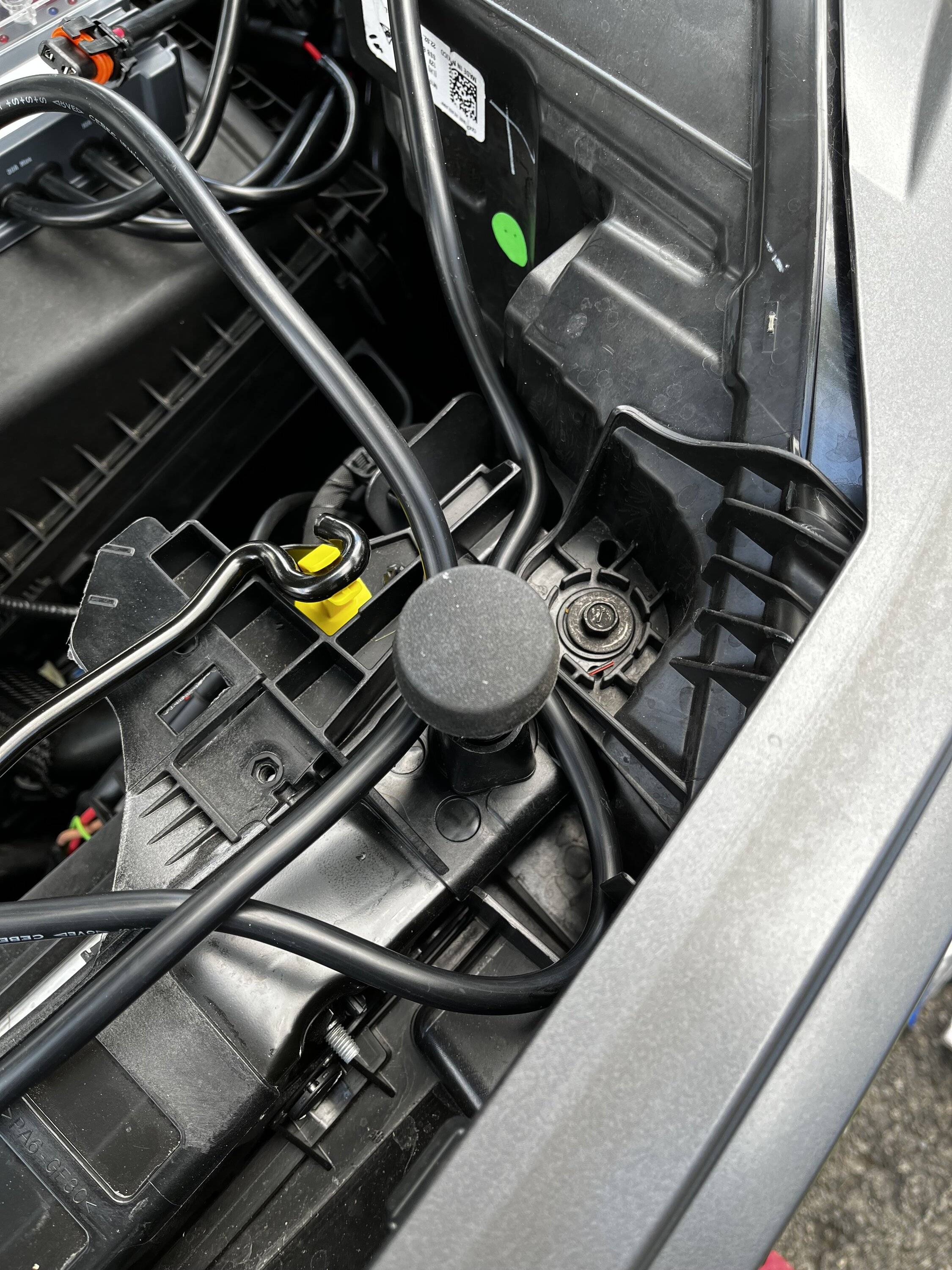 Ford Bronco Sport What did you do TO your Bronco Sport today? IMG_8202