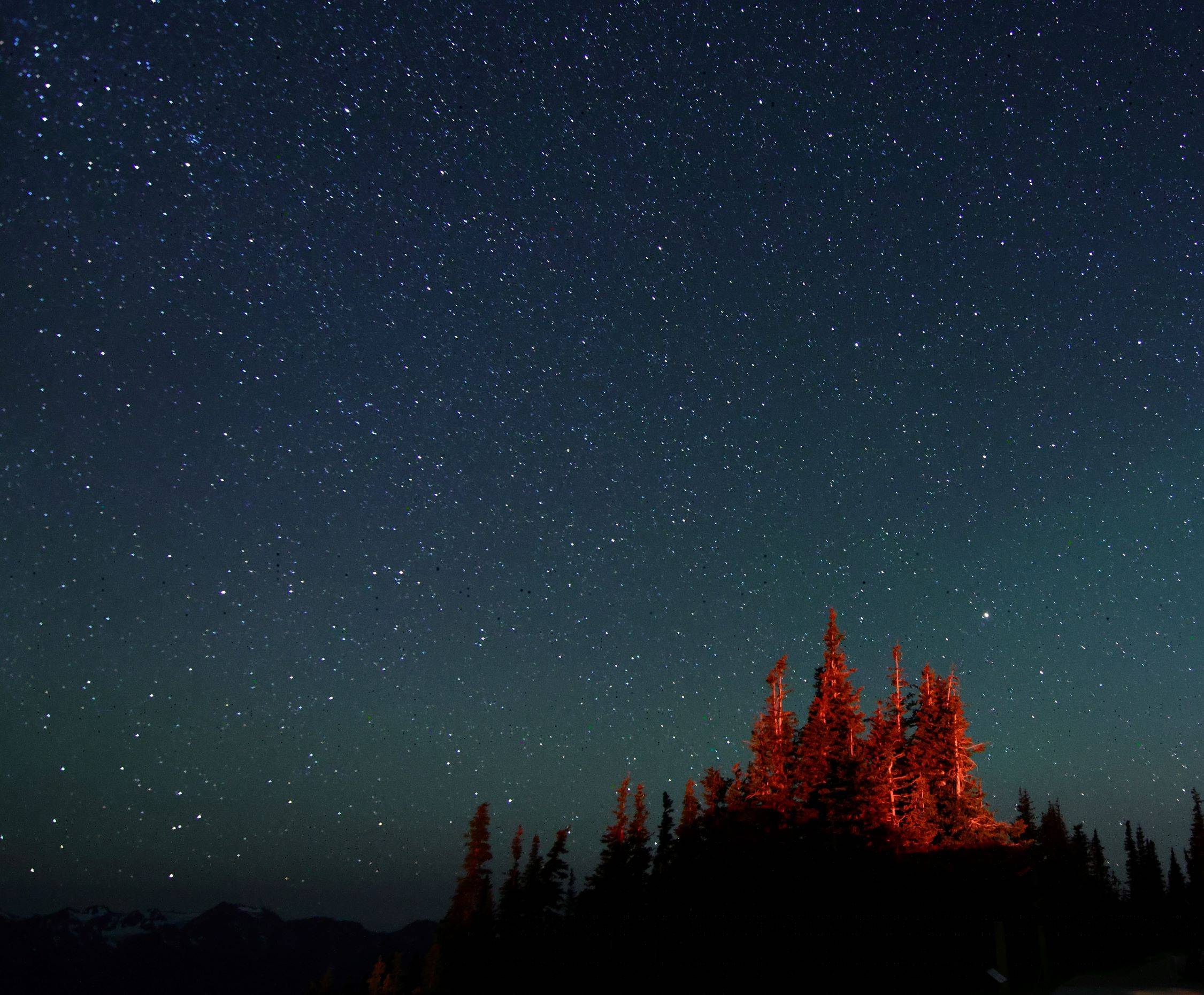 Ford Bronco Sport Getting out there 4K3A0771small.JPG