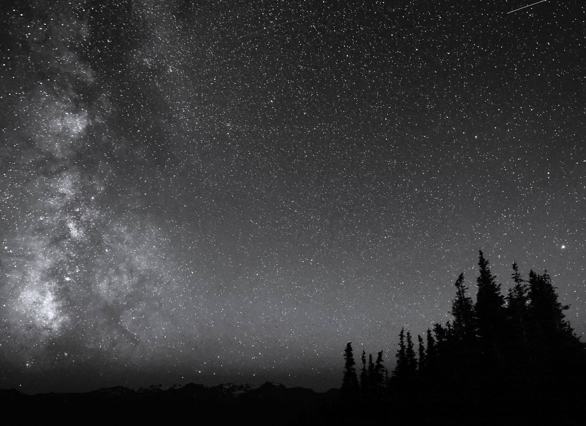 Ford Bronco Sport Getting out there 4K3A0773BWsmall.JPG