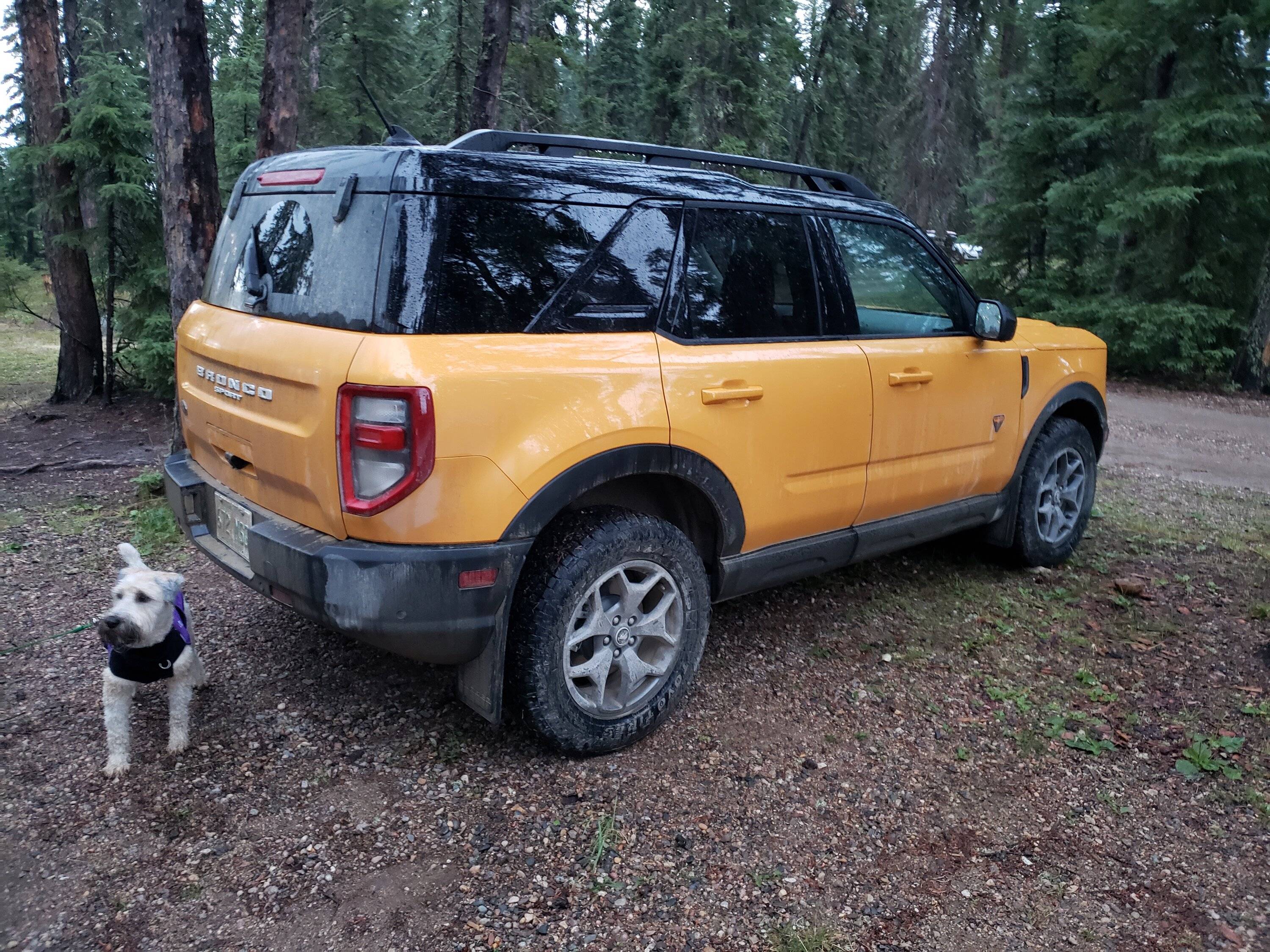 Ford Bronco Sport Tires: Are there any significant differences between 235/65/17 and 245/65/17? 20220723_211800