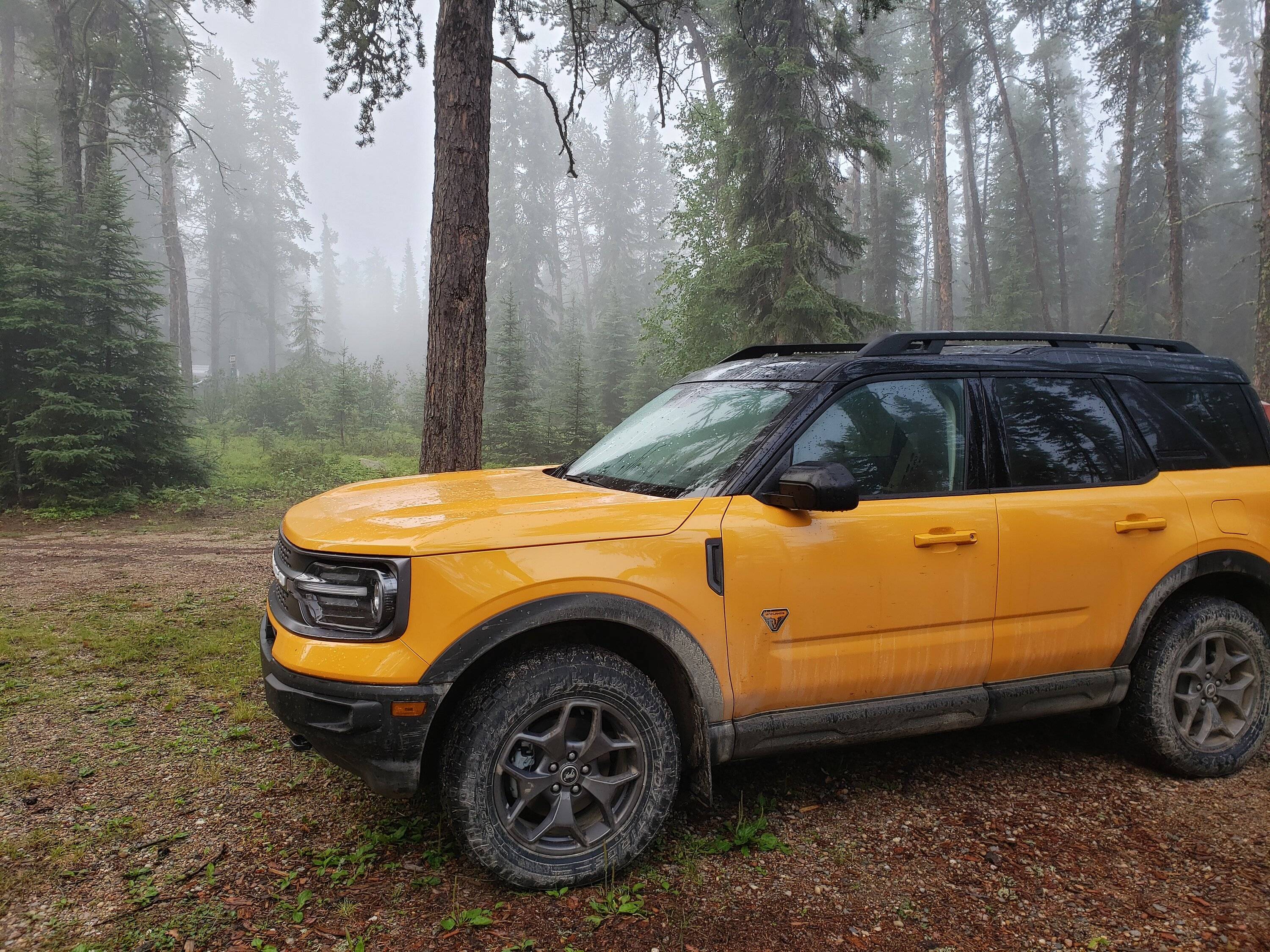 Ford Bronco Sport Tires: Are there any significant differences between 235/65/17 and 245/65/17? 20220724_062116