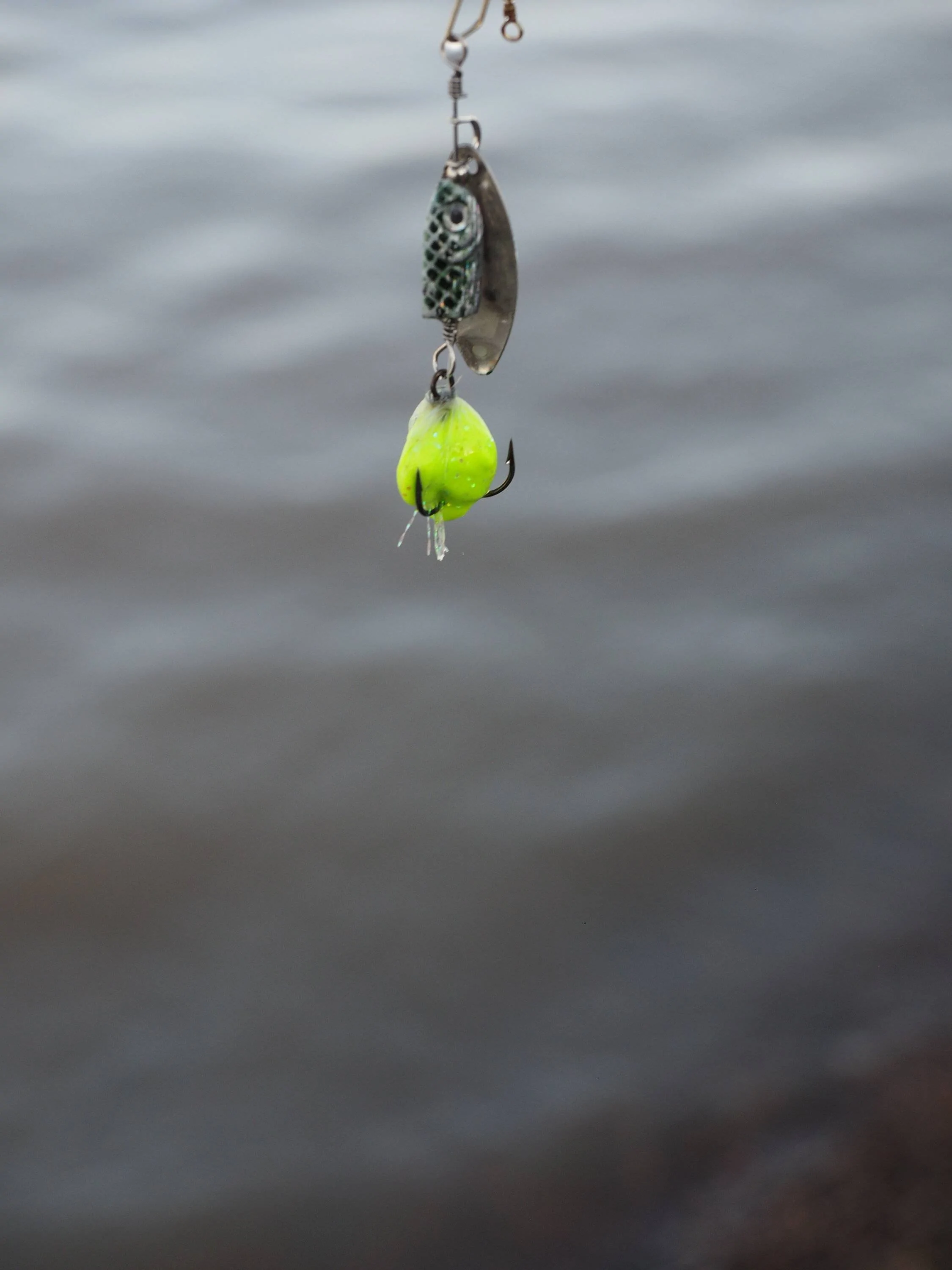 Ford Bronco Sport What did you do TO your Bronco Sport today? IMG_7197