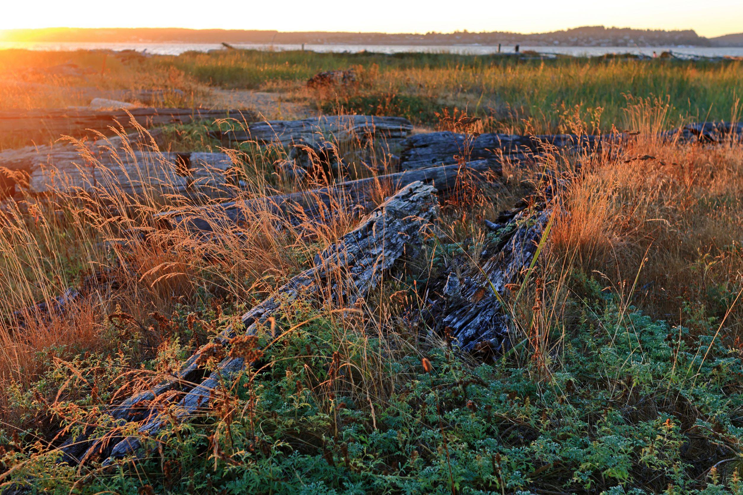 Ford Bronco Sport Getting out there 4K3A1053small.JPG