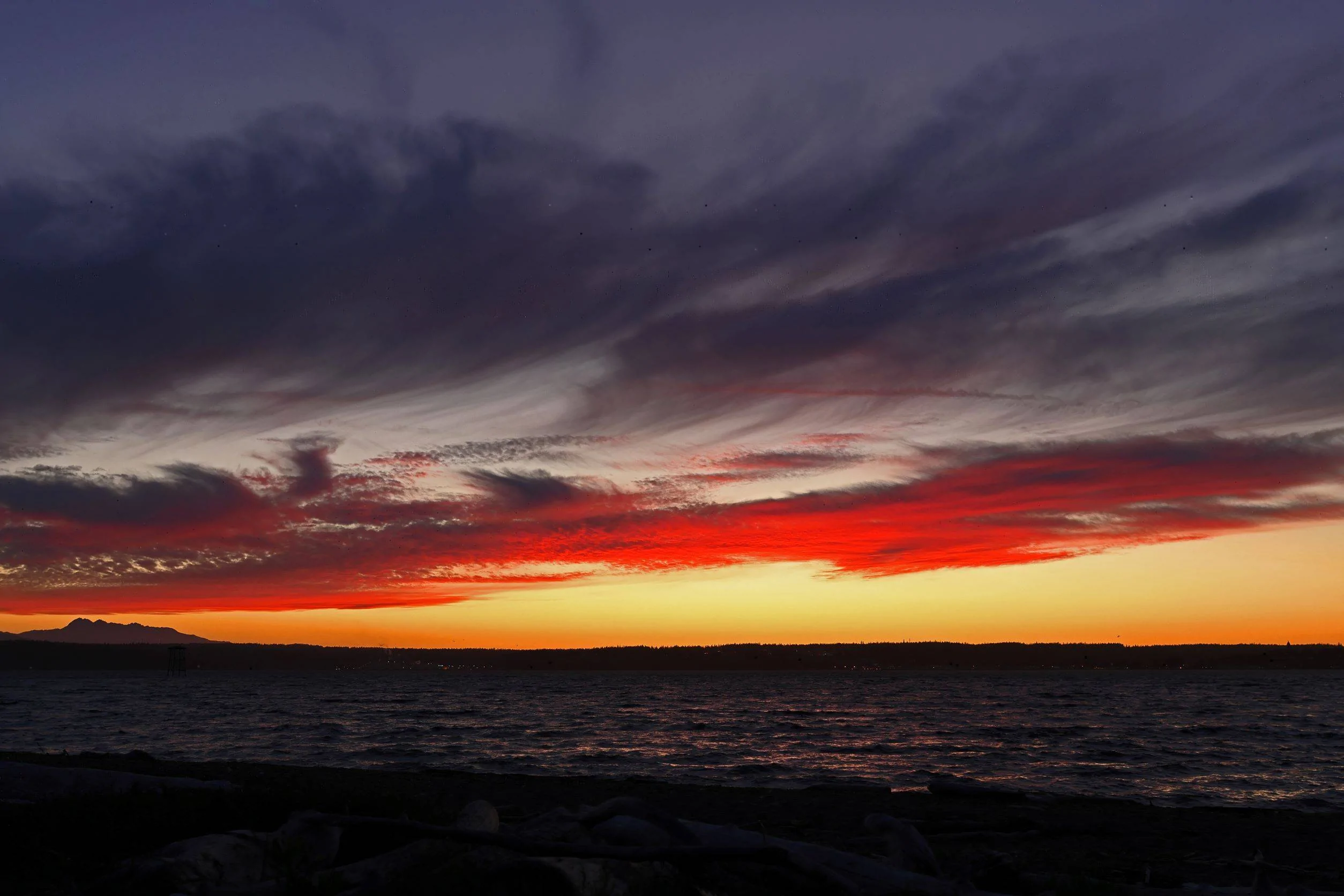 Ford Bronco Sport Getting out there 4K3A1113small