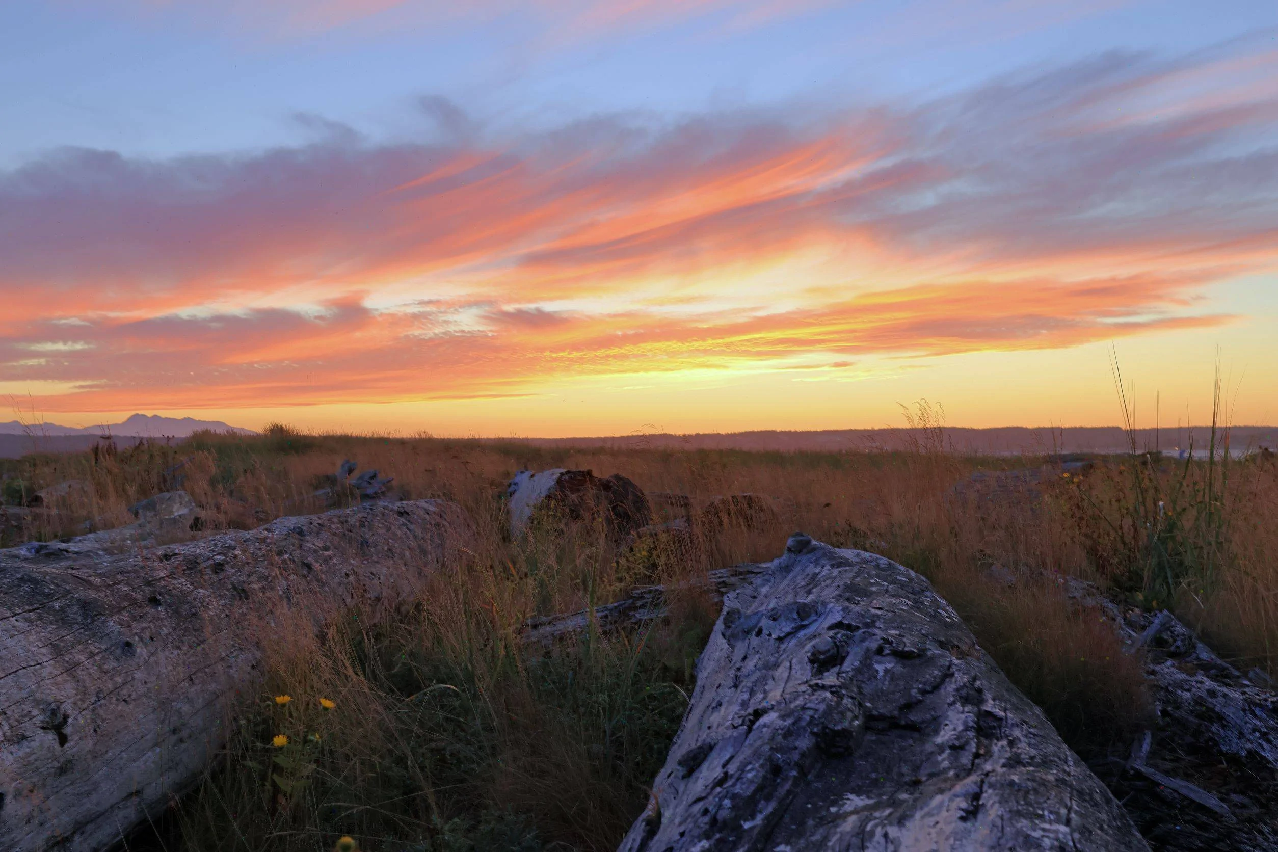 Ford Bronco Sport Getting out there HDR2mall