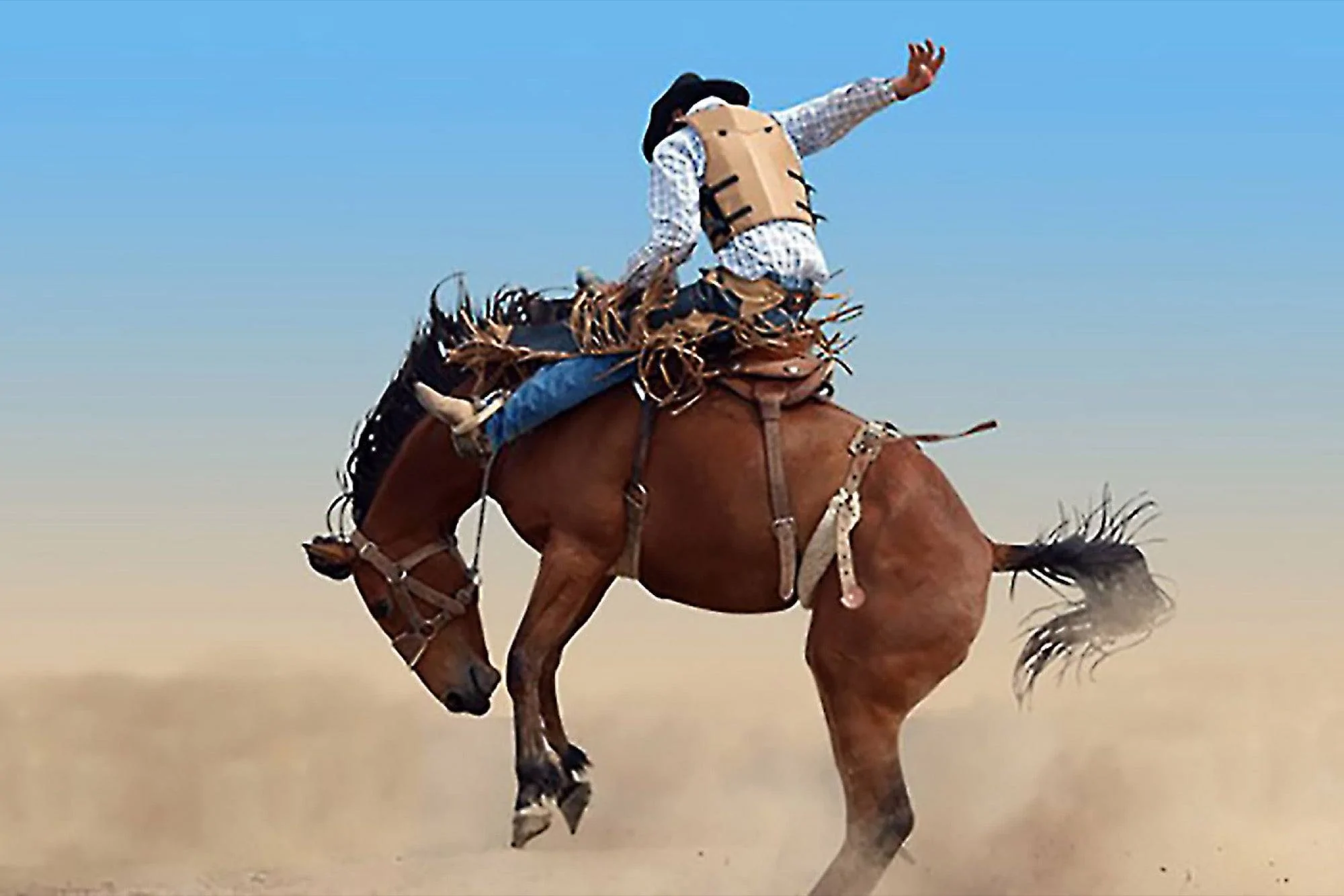 Ford Bronco Sport Where is my stick shifter 1-7-truths-about-risl-learned-riding-rodeo-circuit