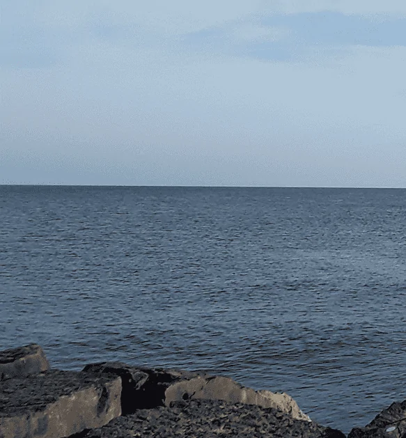 Ford Bronco Sport What did you do TO your Bronco Sport today? 1663850926330