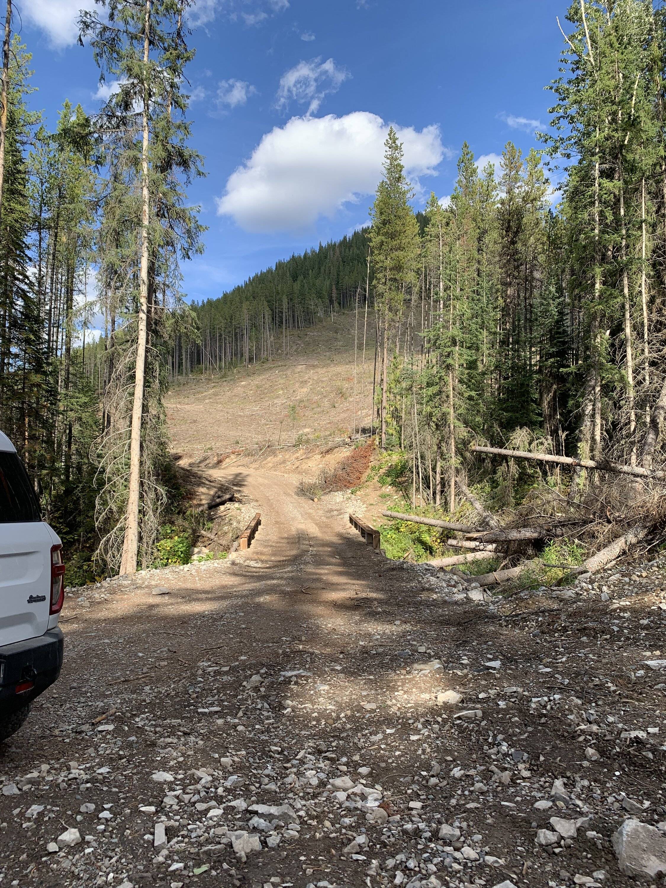 Ford Bronco Sport WHERE did you go with your Bronco Sport today? D7EC0BE6-F9BC-4A04-BA5E-62B0A240419D