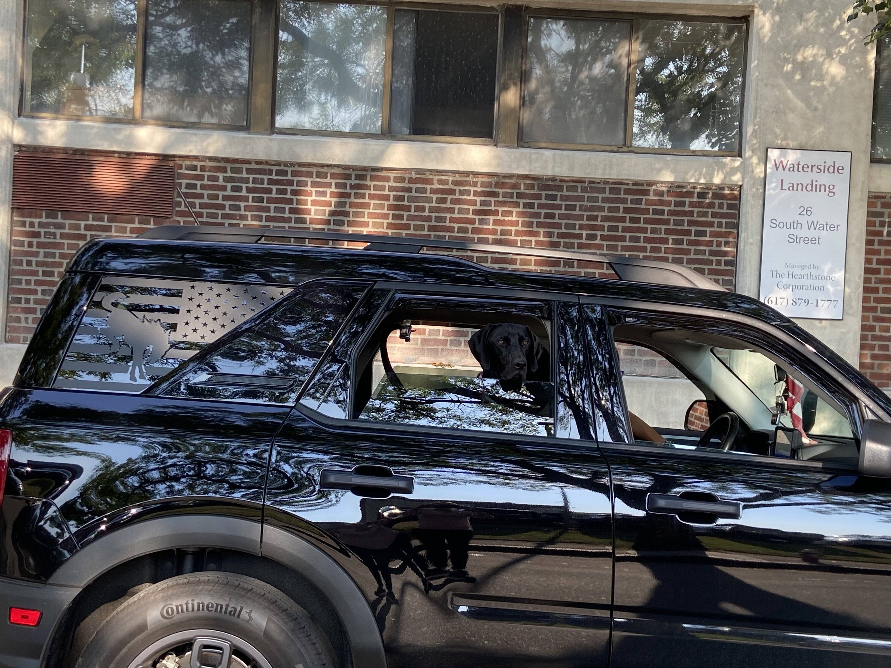 Ford Bronco Sport Show me your dogs!! C3845B47-A6AA-4886-9F63-06B6007B38BF