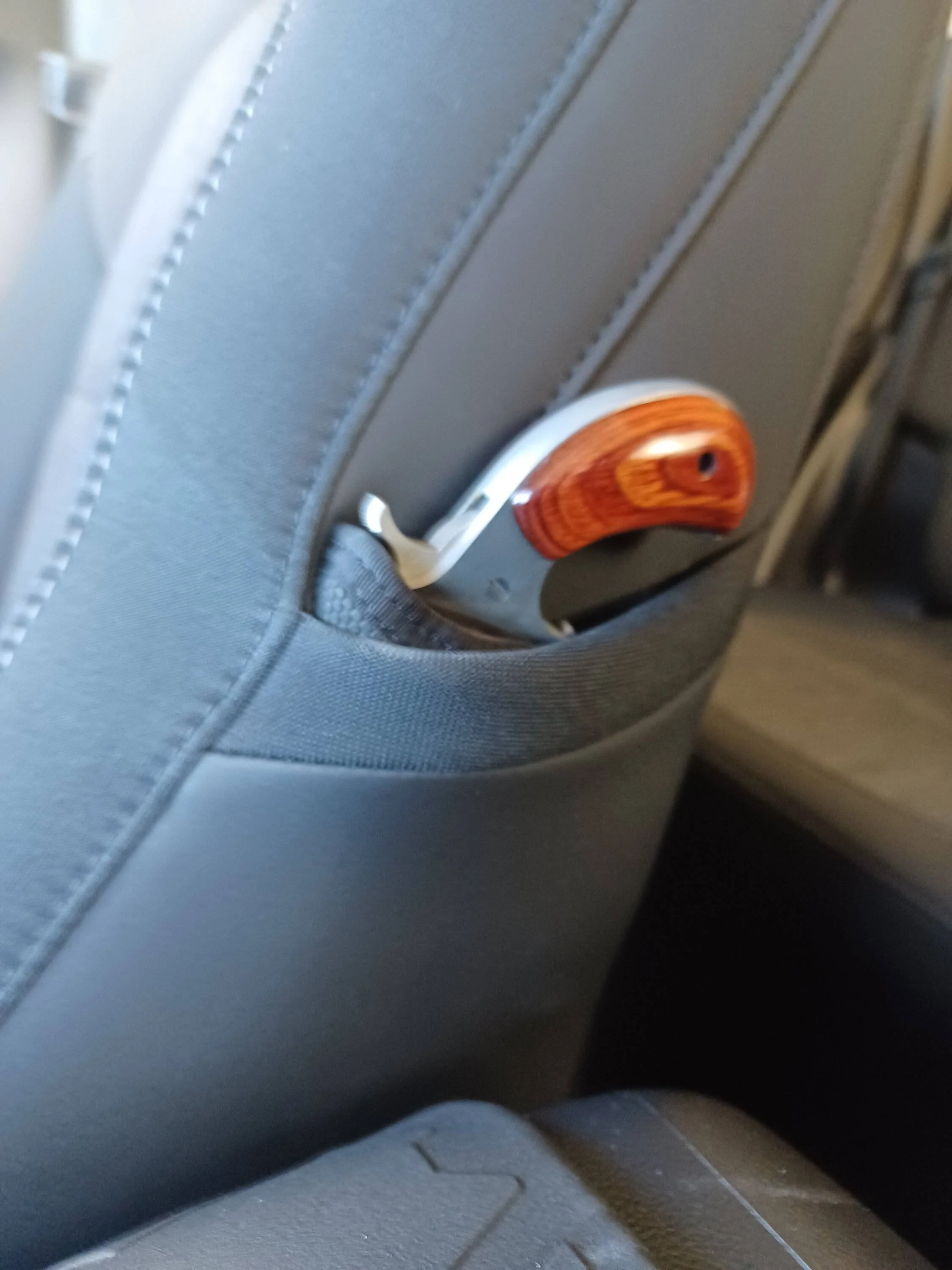 Ford Bronco Sport MOLLE Accessories Suggestions? 20220927_123546