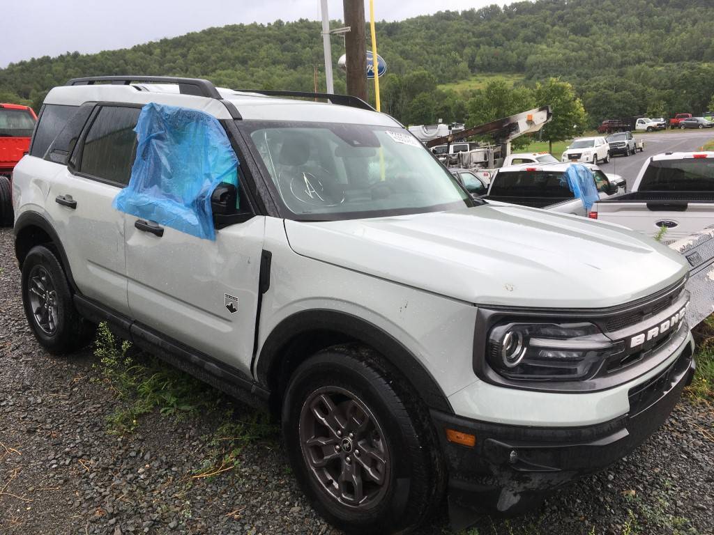 Ford Bronco Sport Another one bites the dust, and early! StagersBroncoSport (Medium).JPG