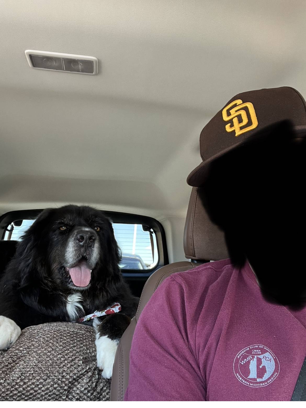 Ford Bronco Sport Show me your dogs!! 9279567F-8968-43C4-AC18-E7E5488D2207