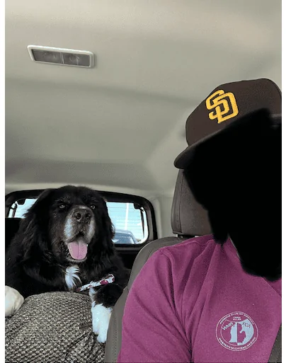 Ford Bronco Sport Trip Report: San Diego to Montana and back with two large dogs. Screen Shot 2022-10-04 at 9.21.39 AM