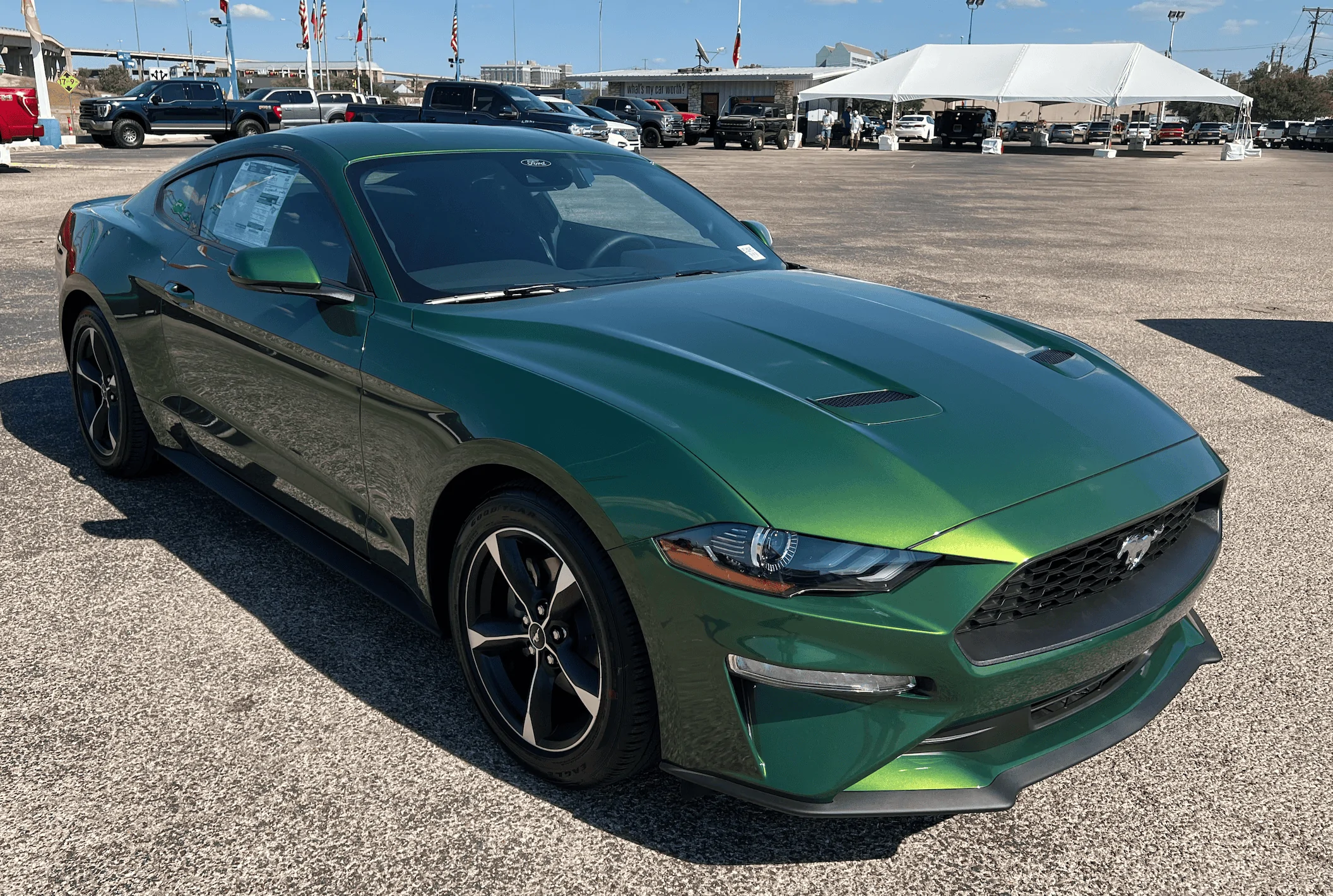 Ford Bronco Sport Eruption Green 2023 Bronco Sport first look Screen Shot 2022-10-05 at 10.11.09 PM