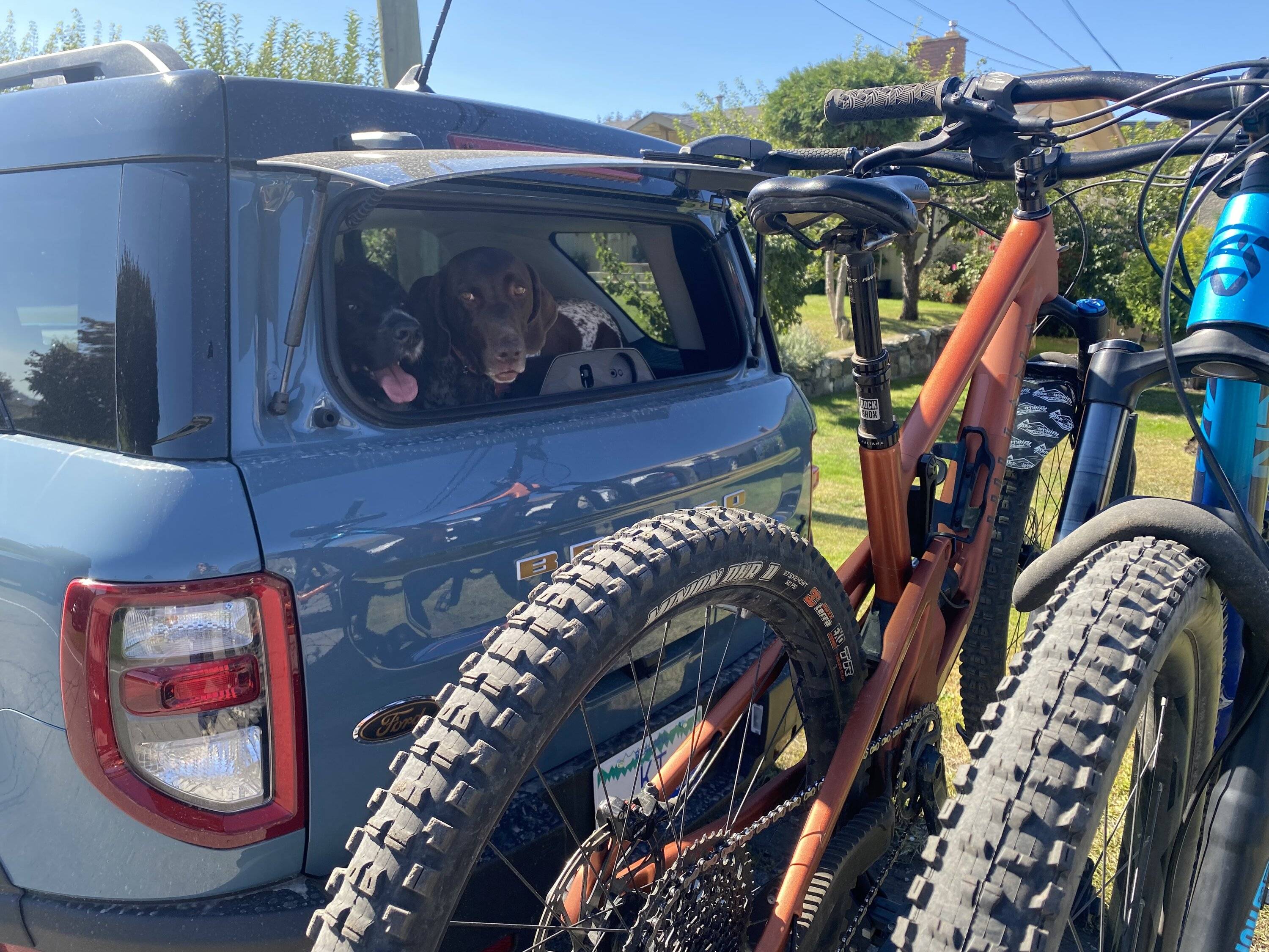 Ford Bronco Sport Show me your dogs!! A95C1850-07C9-4203-AB45-1B72758623D5