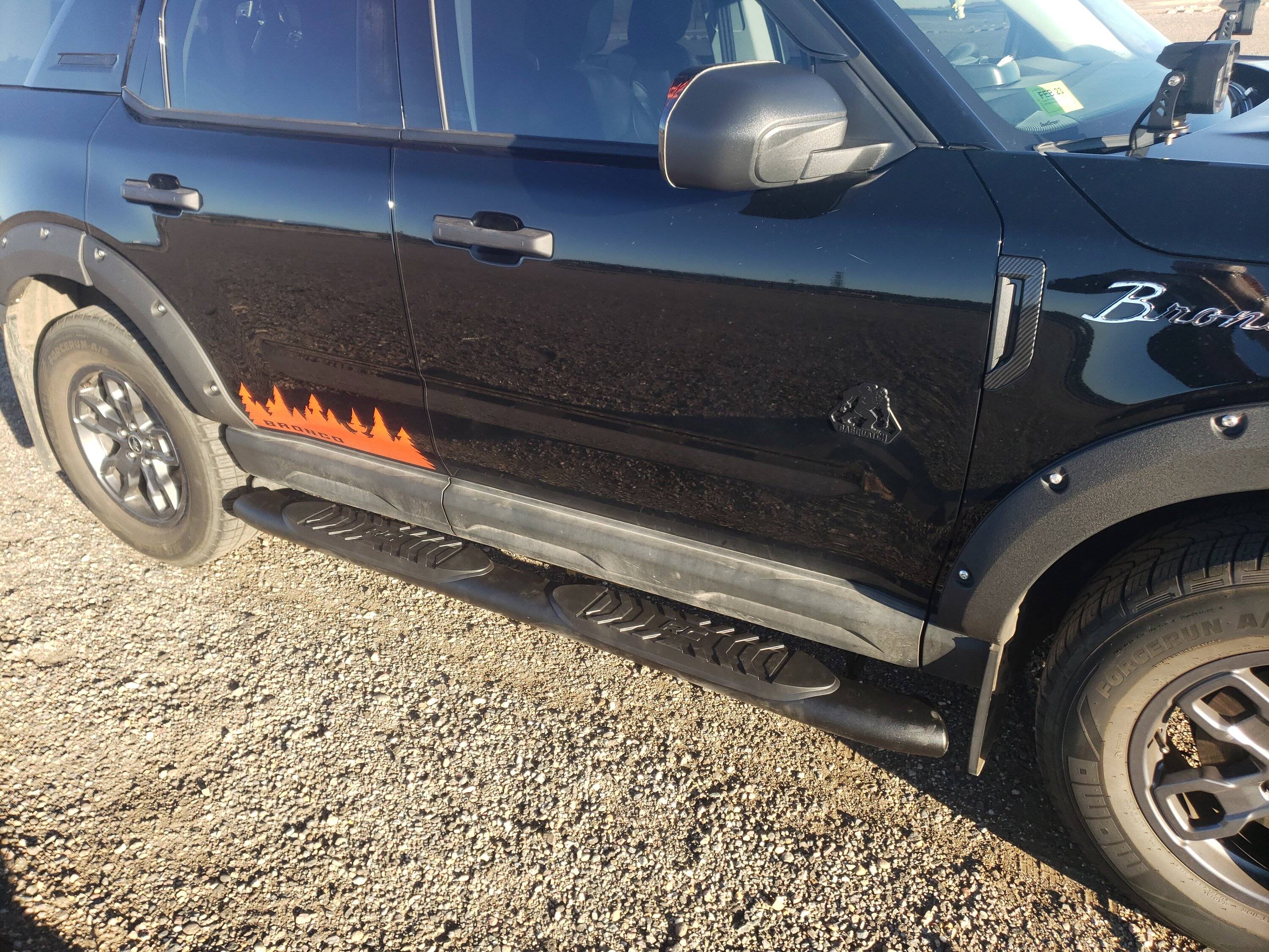 Ford Bronco Sport Rough Country Nerf Step-Rock Rails installed 🪨🛡️ 20221010_082348