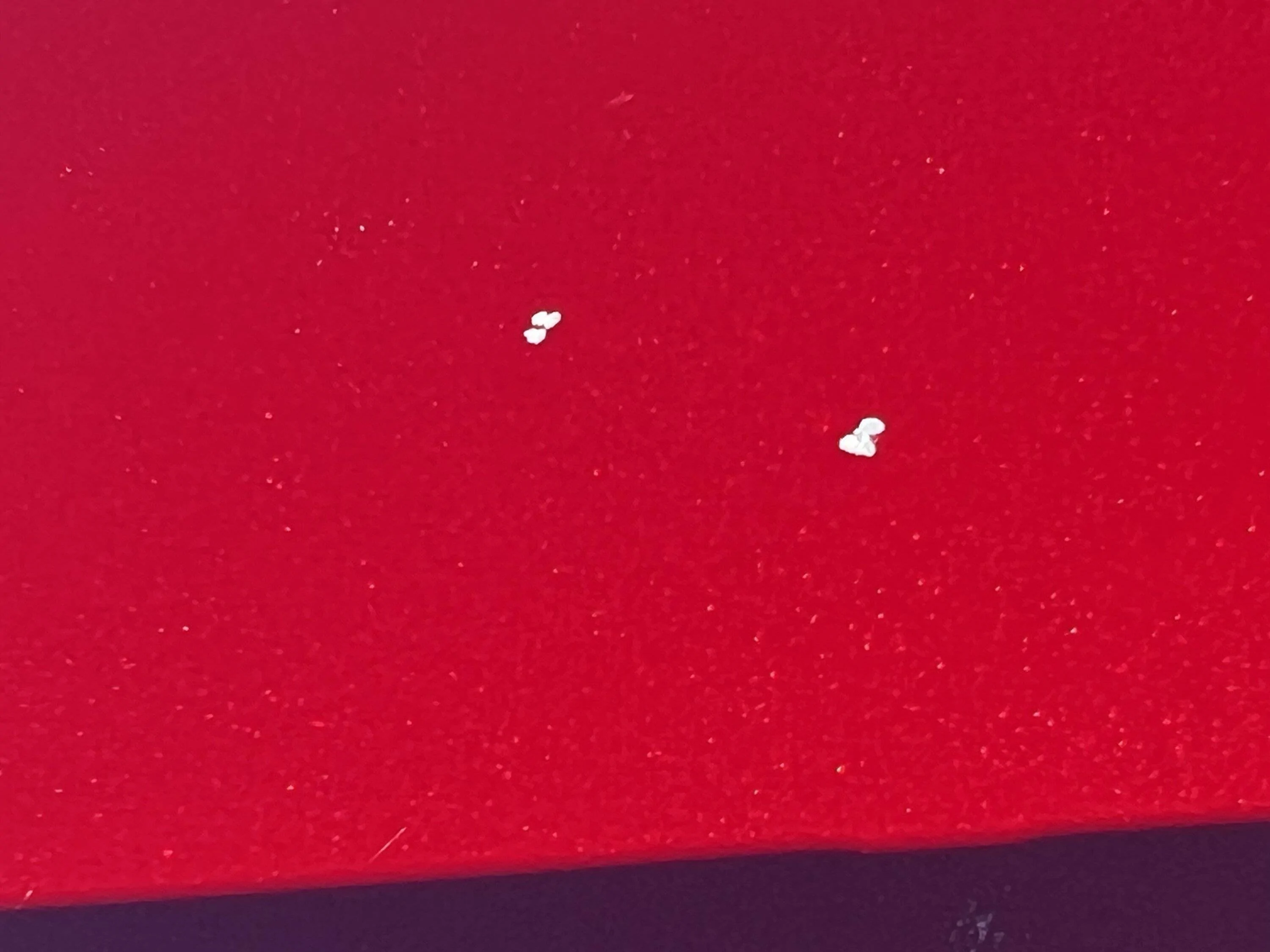 Ford Bronco Sport PSA. Paint Protection (against paint chips) urged D6423554-9A09-476F-B0CB-32189A16F740